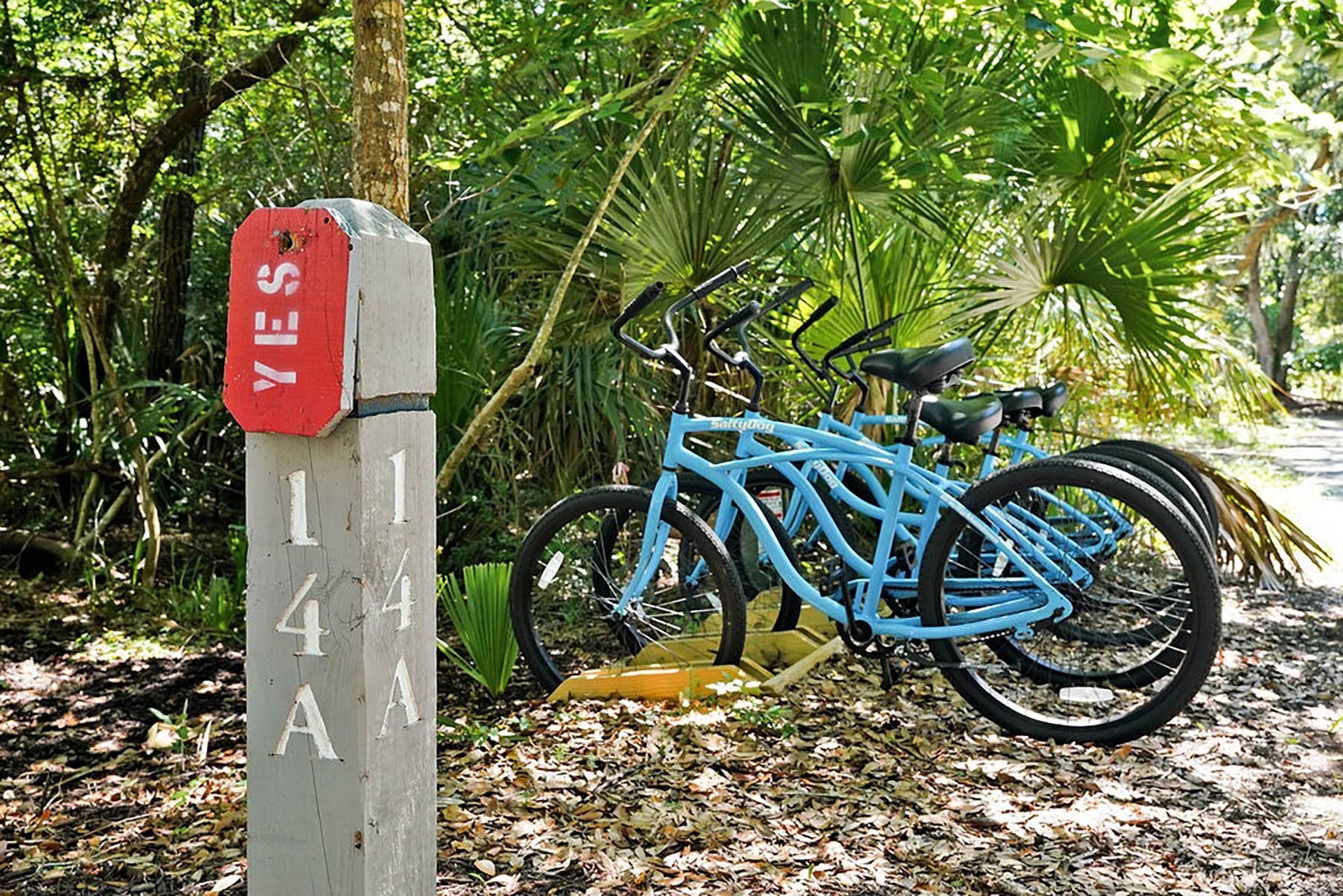  14 Fort Holmes Trail A, Bald Head Island, NC 28461 - 物件實景