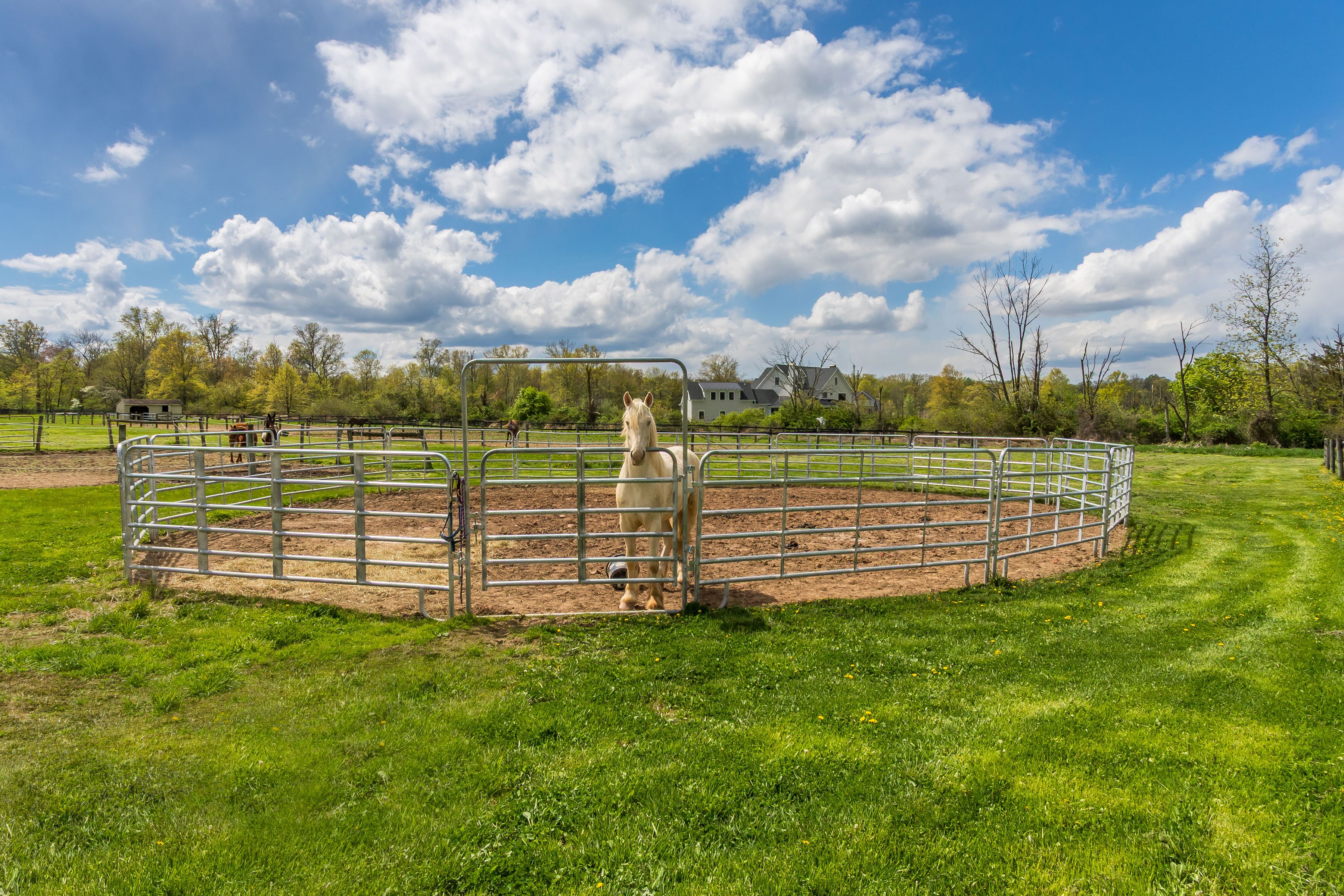  1904 Broad Street, Perkasie, PA 18944 - 物件實景