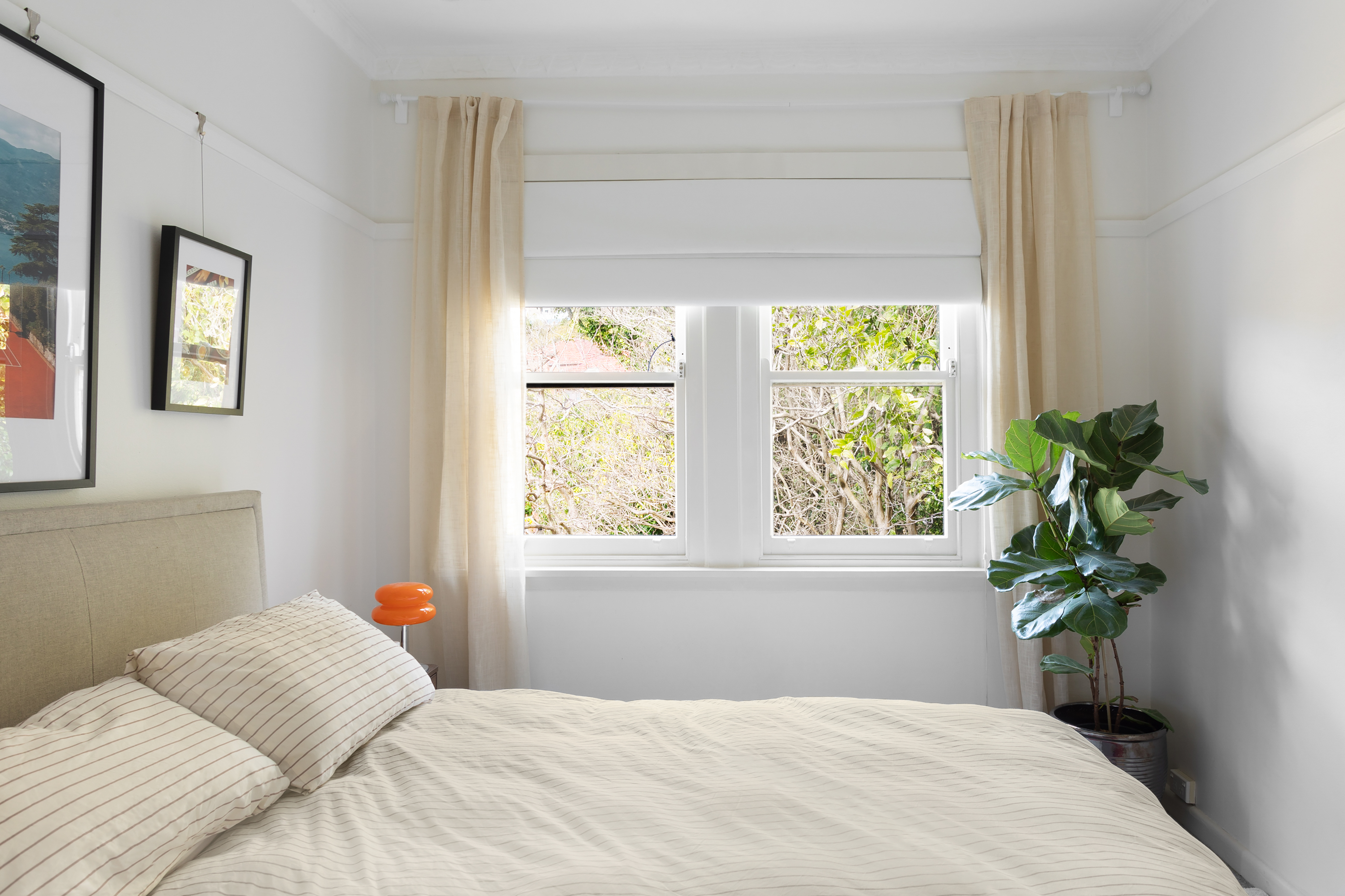  5/24 Chester Street, Woollahra - 物件實景