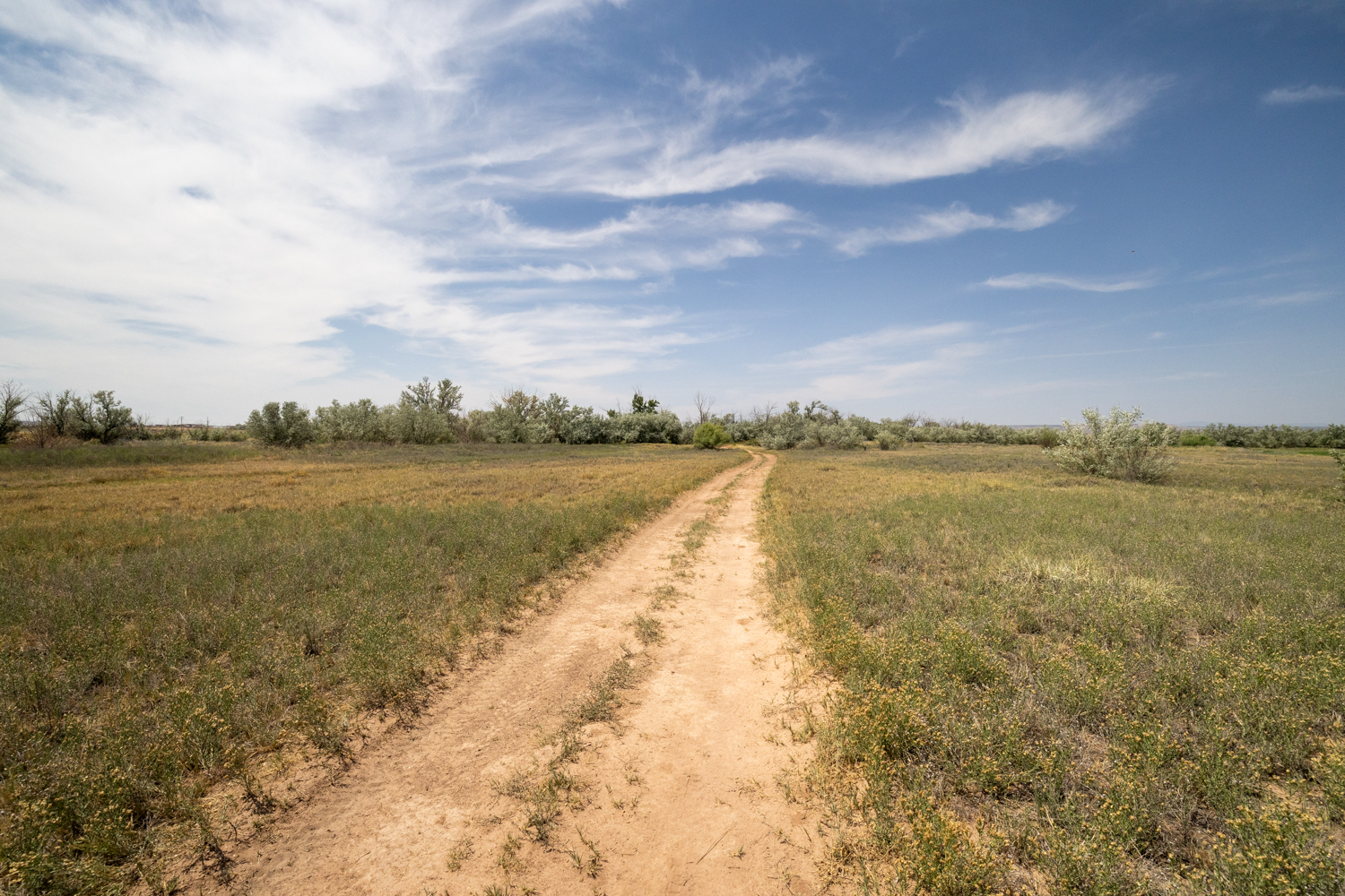 Roosevelt, Utah, 84066, United States, ,Land,For Sale,1903597
