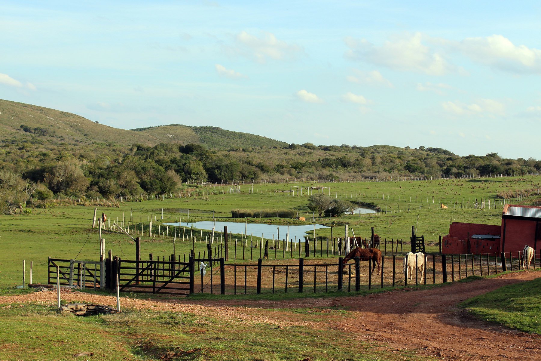  2577 acres Grand Hunting Estate - 物件實景