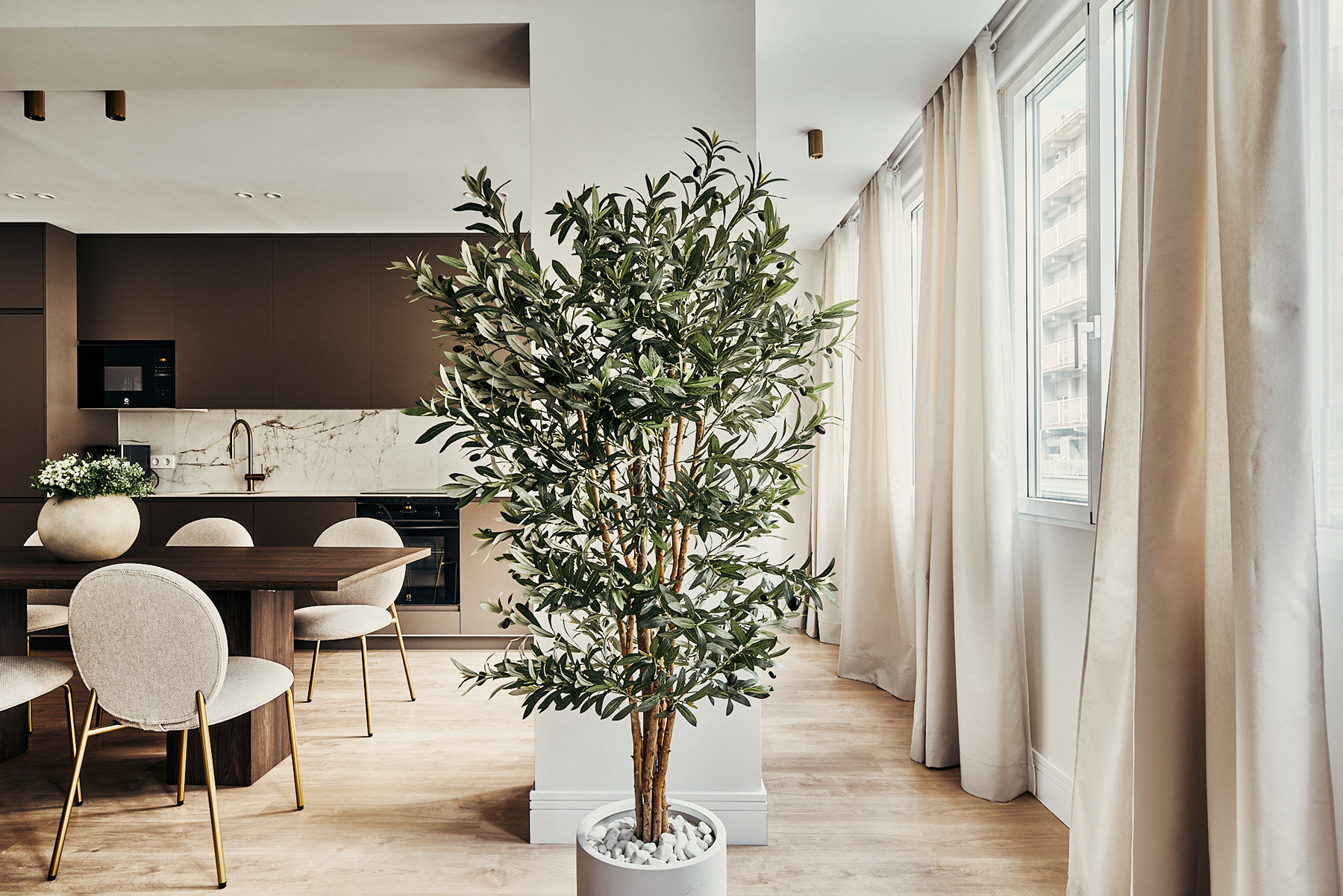  Renovated flat in Barrio de Salamanca, Madrid - 物件實景
