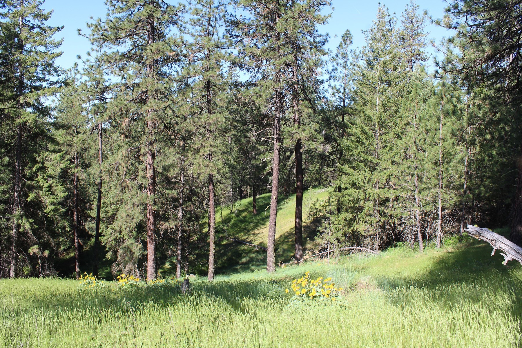  881 S Allen Rd and 2714 E Haven Dr Coeur d