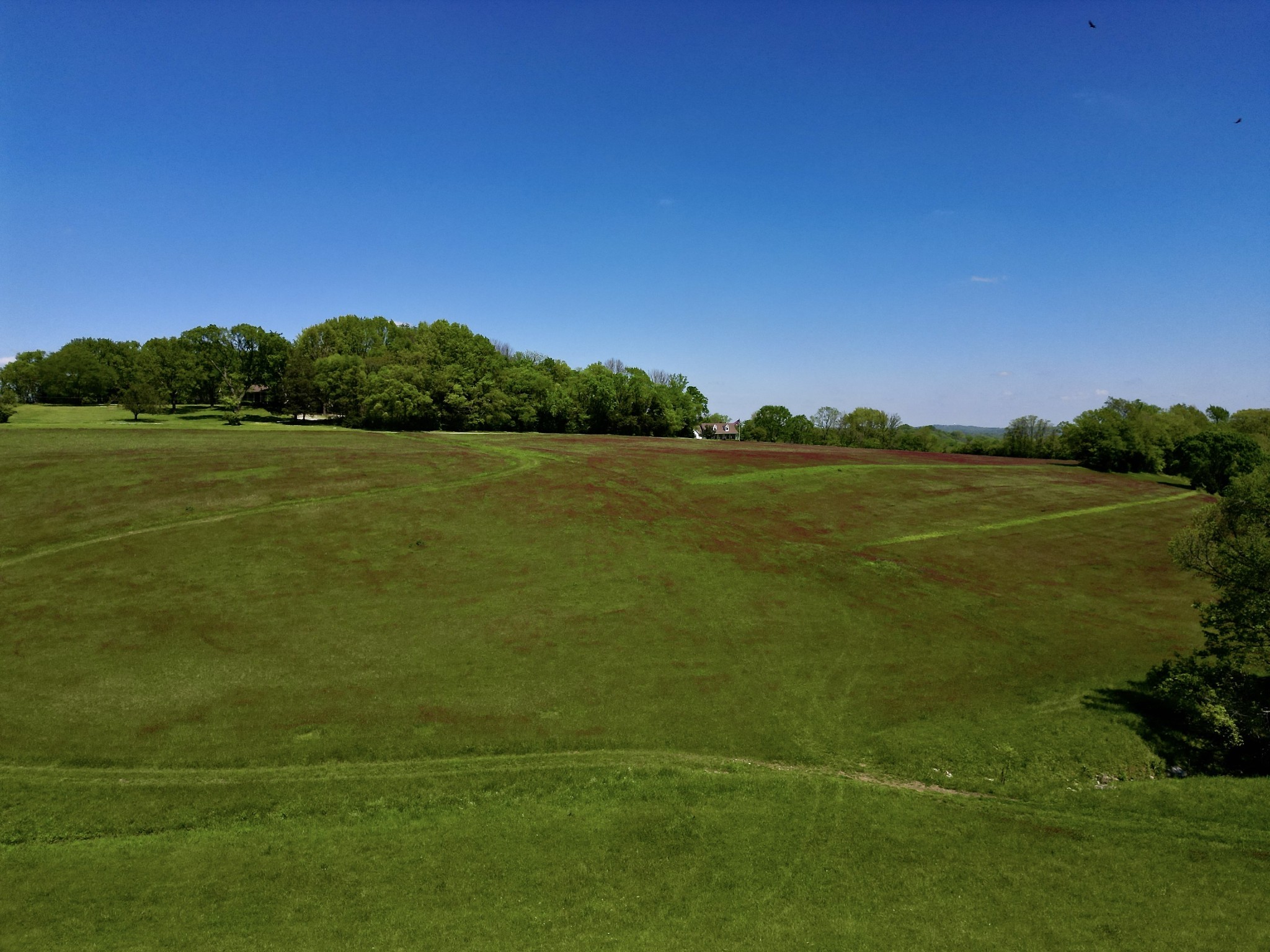  9591 Clovercroft Rd Lot 2, Franklin, TN, 37067 - 物件實景