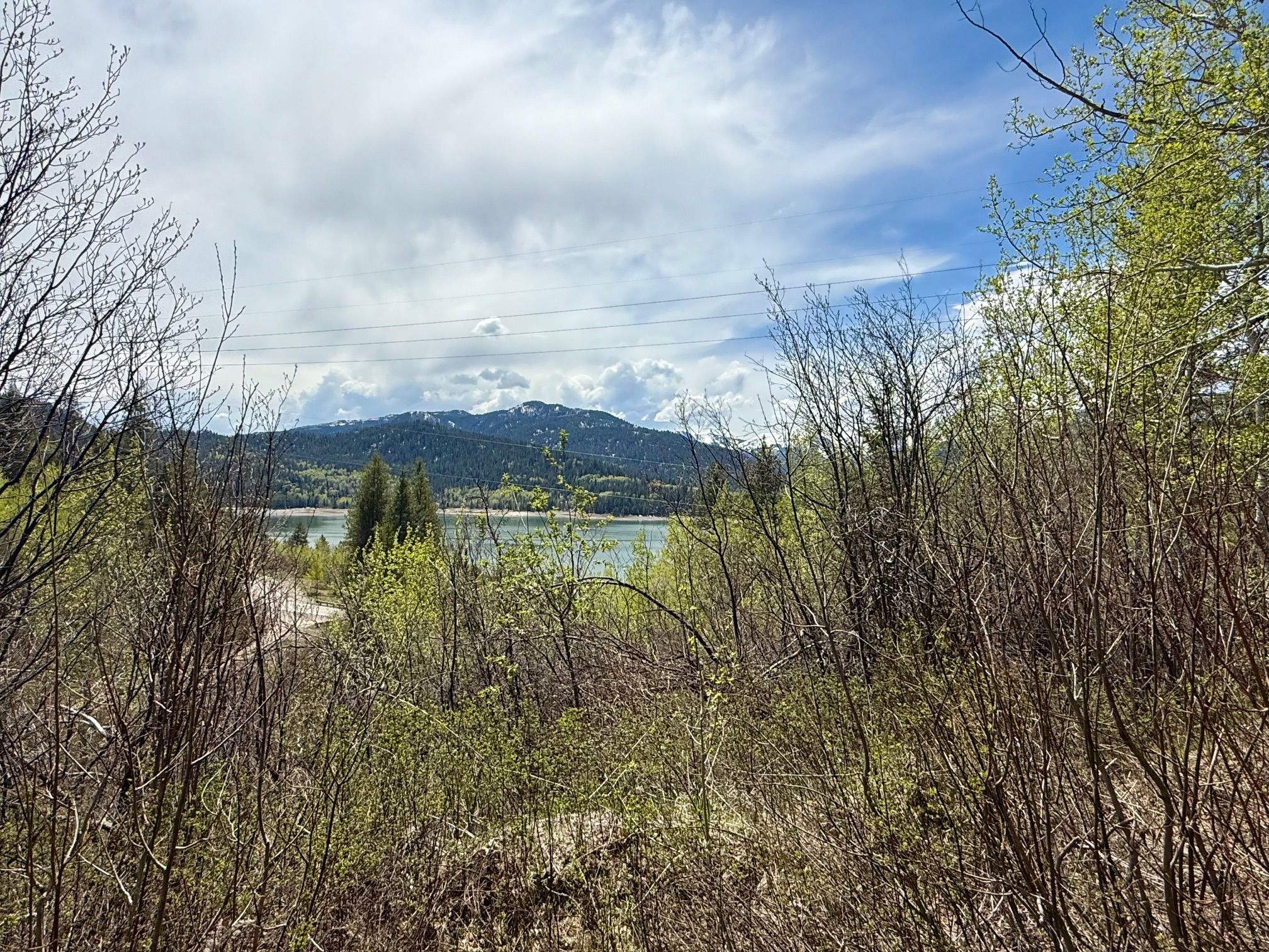  Property Overlooking the Palisades Reservoir - 物件實景