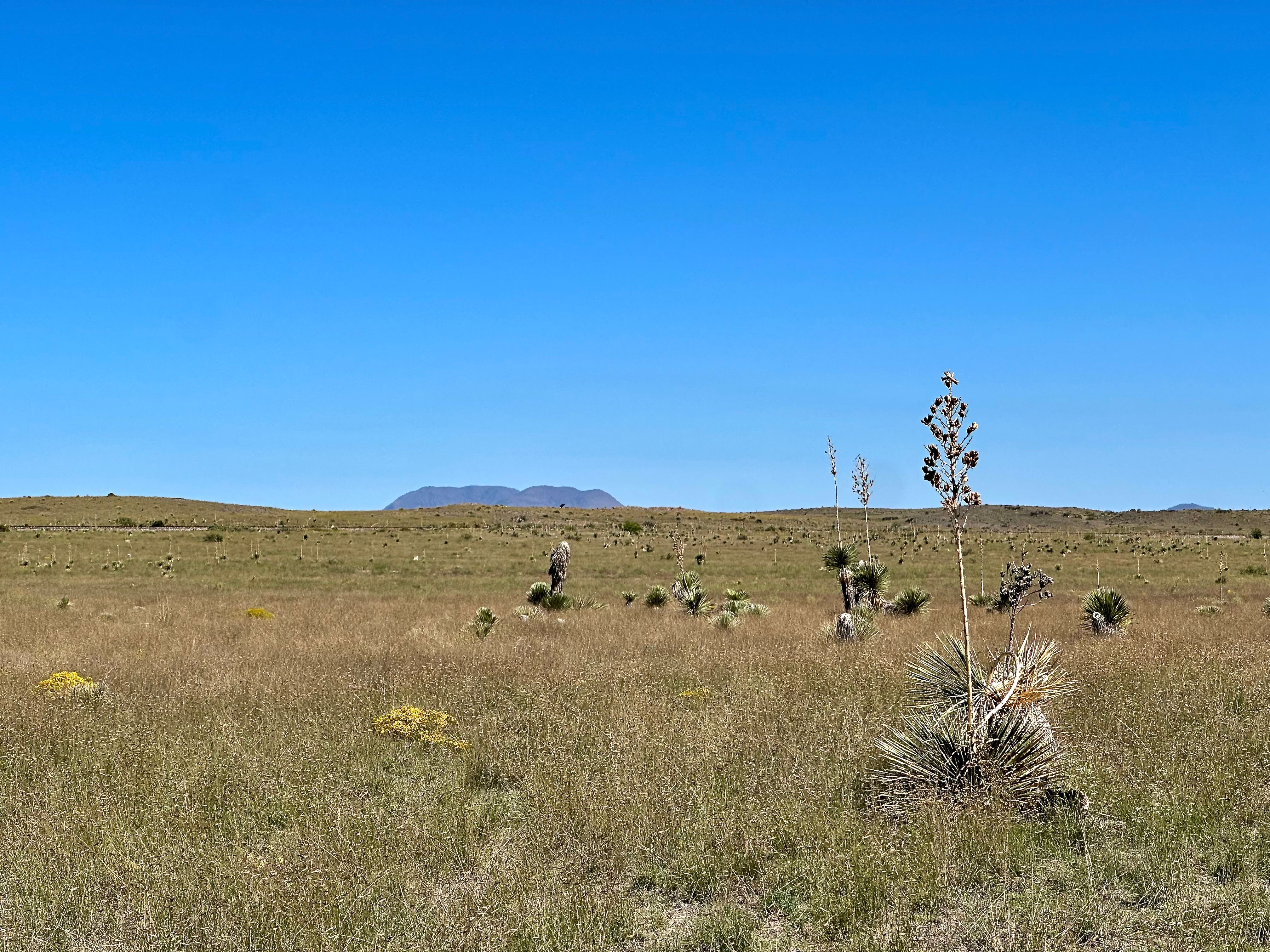  18311 Hwy 90, Marfa, TX 79843 - 物件實景