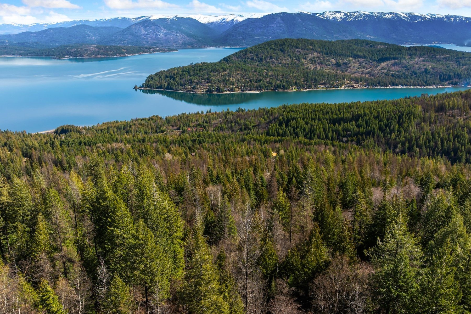  A View above it all - 物件實景