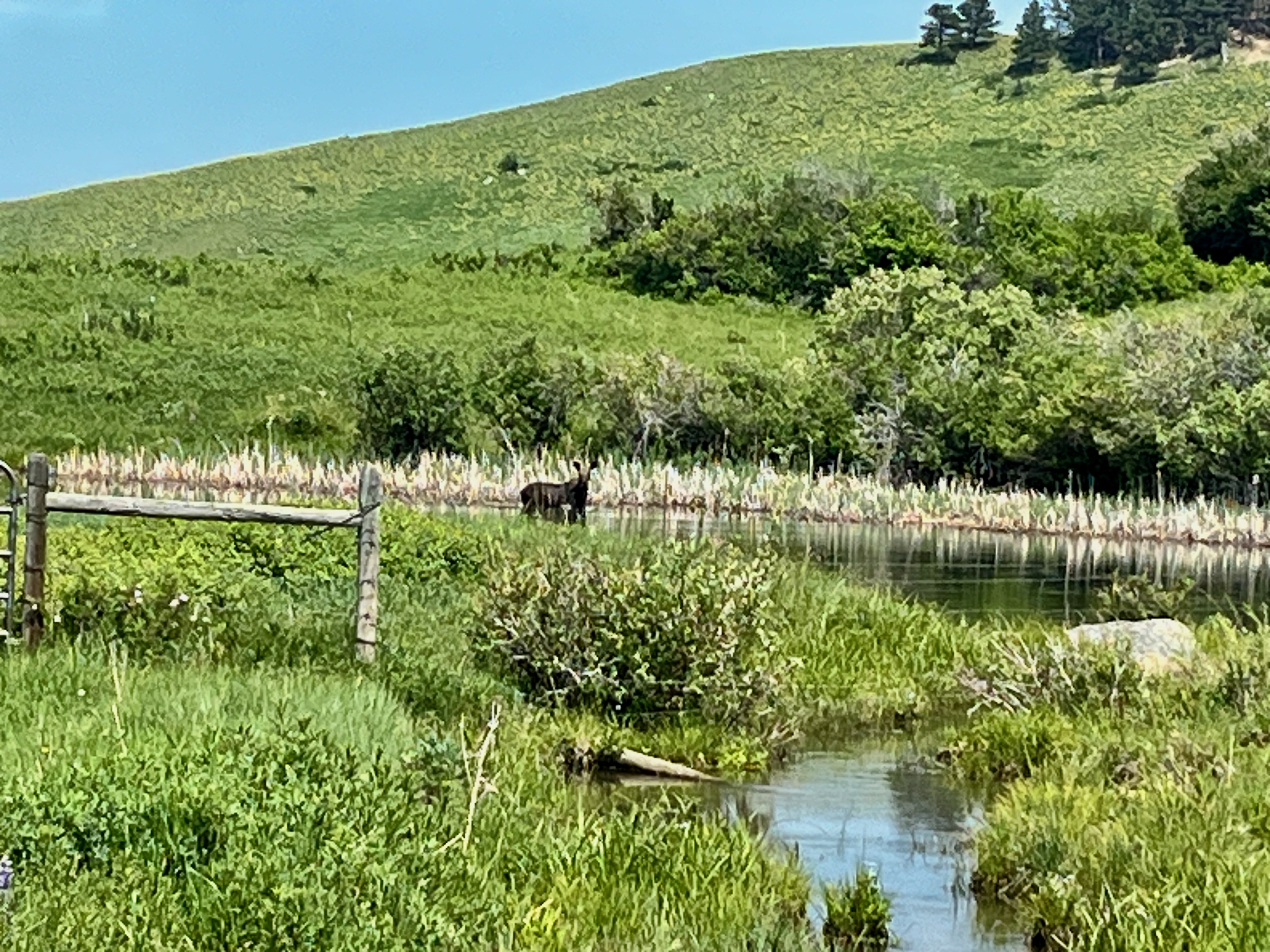 Big Horn, Wyoming, 82833, United States, ,Residential,For Sale,1887054