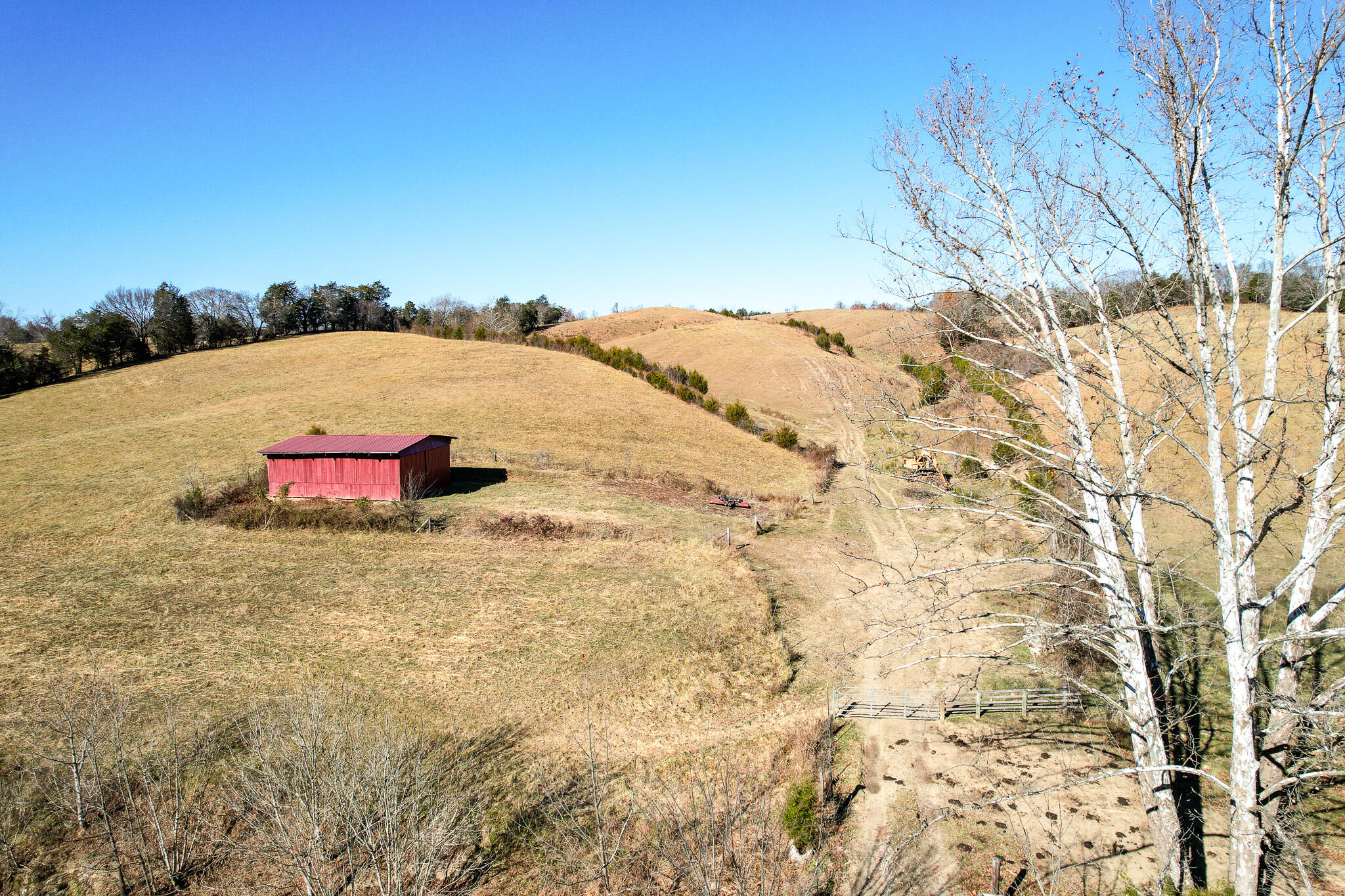 Greeneville, Tennessee, 37745, United States, ,Residential,For Sale,1920316