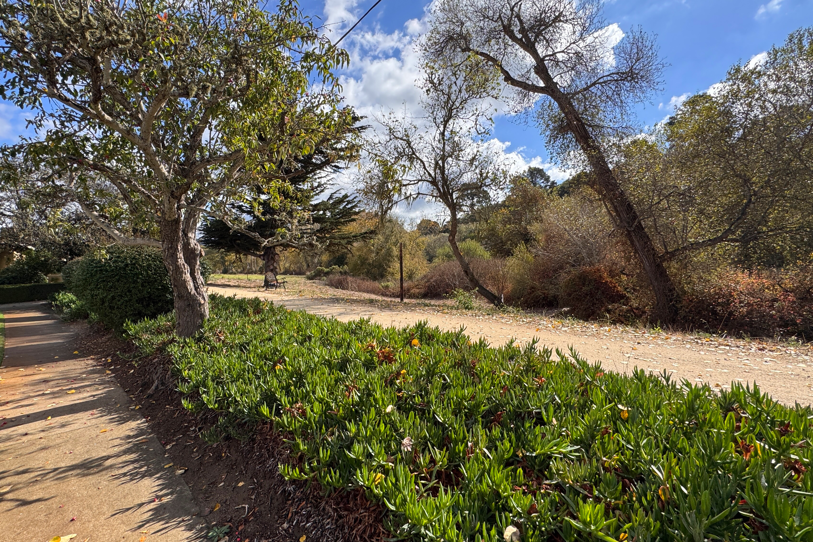  203 Hacienda Carmel - 物件實景