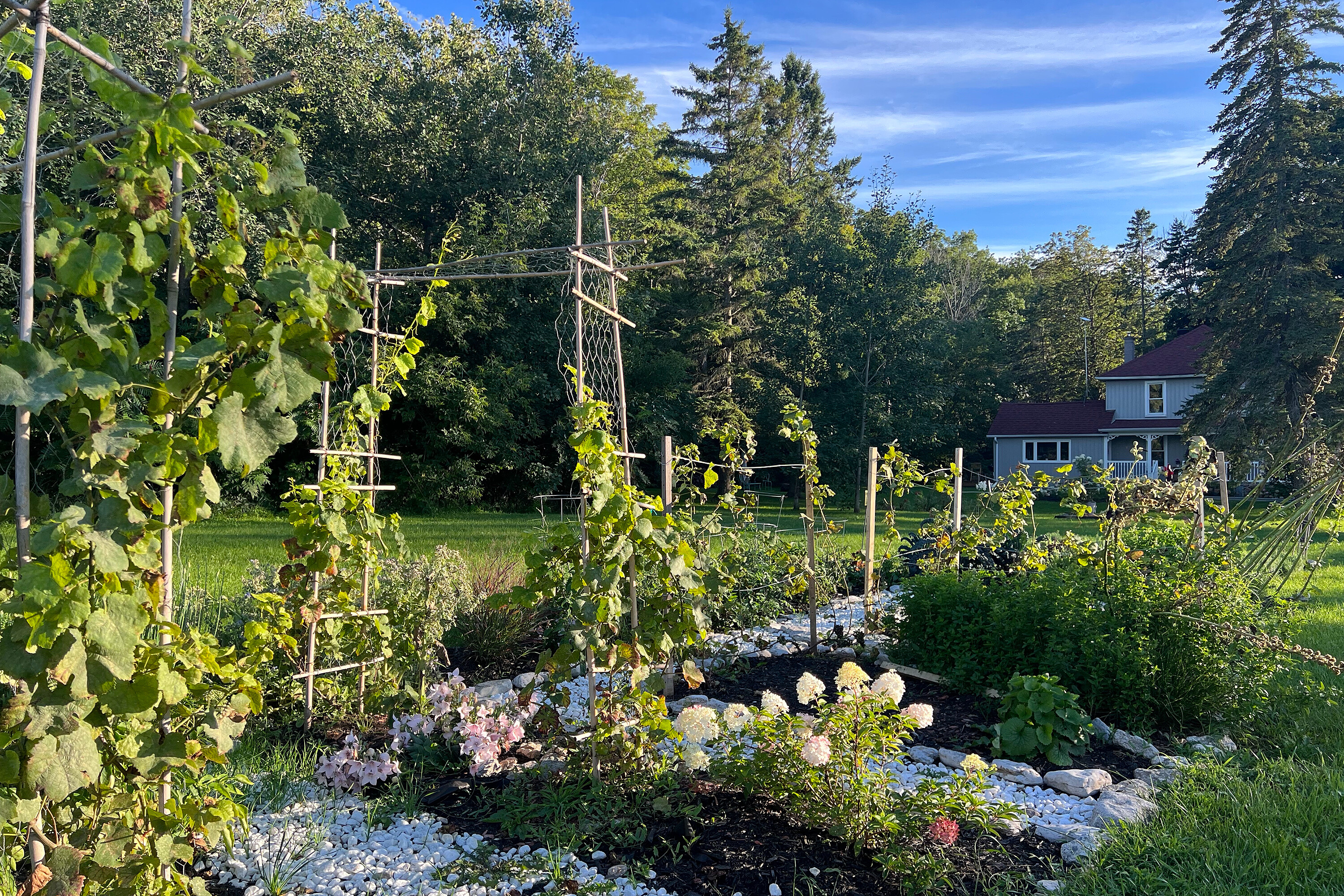 Prince Edward County - 物件實景
