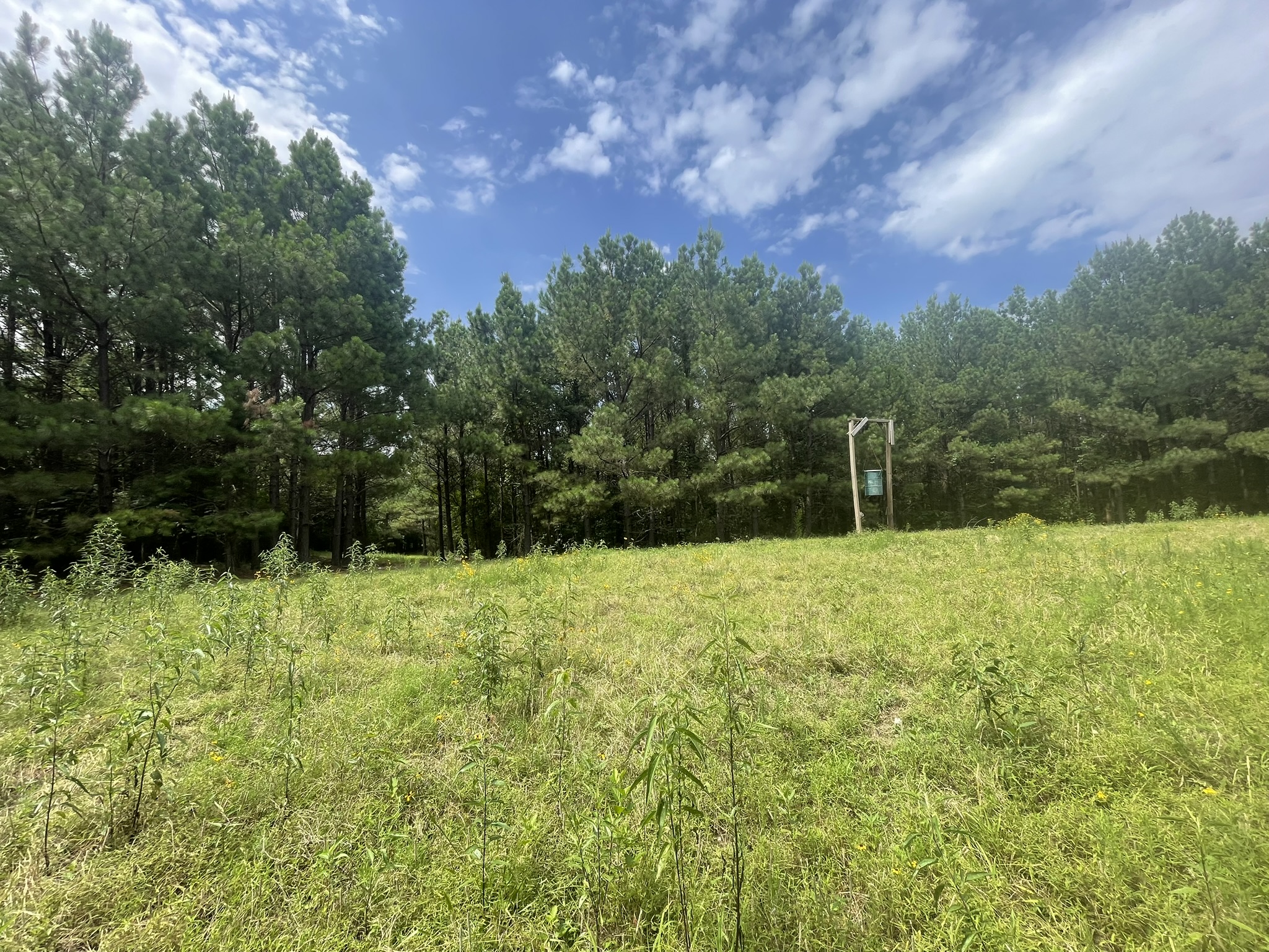 Cove, Arkansas, 71937, United States, 2 Bedrooms Bedrooms, ,Residential,For Sale,1938285