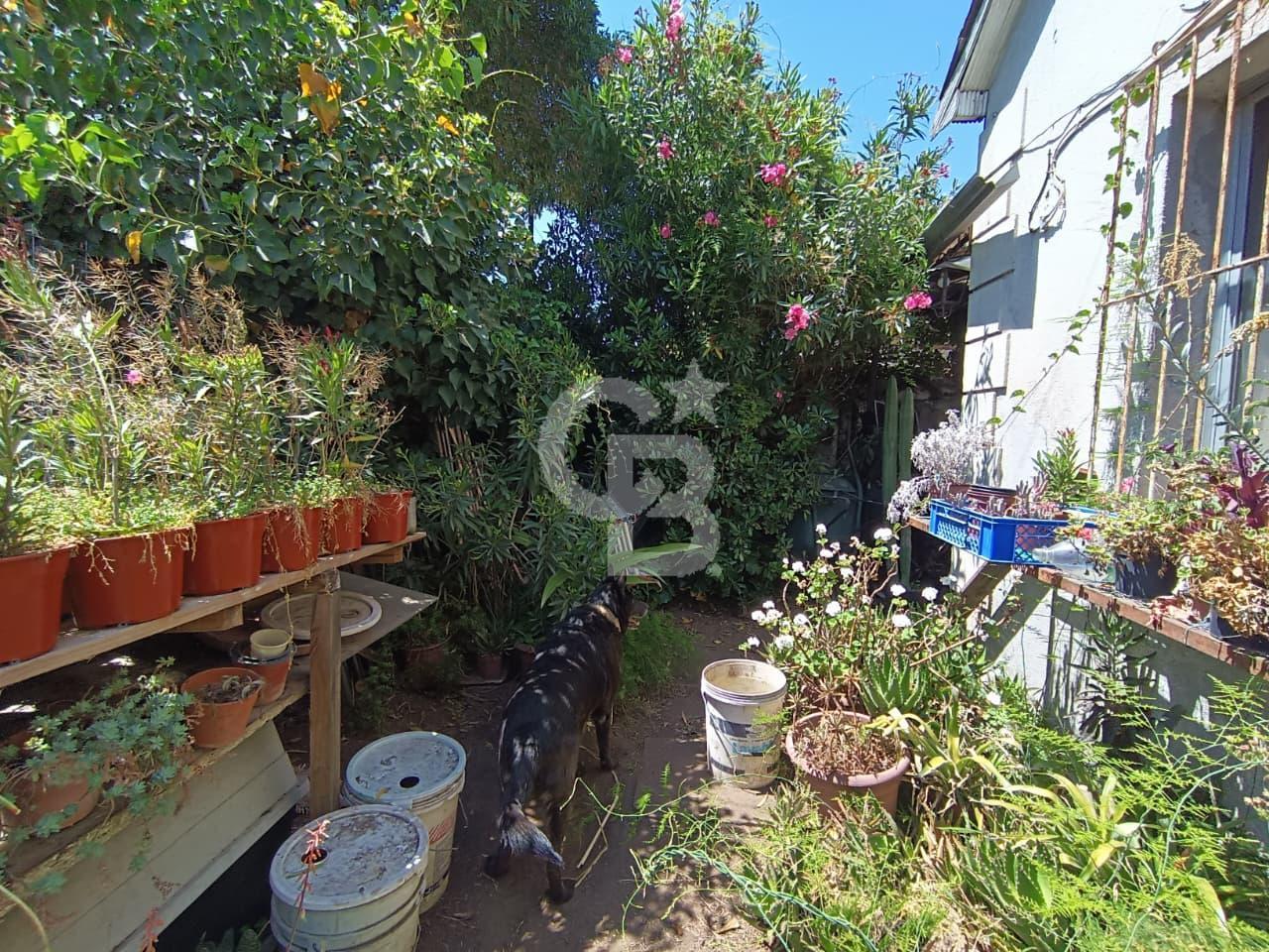 Ñuñoa, Chile, 6 Bedrooms Bedrooms, ,4 BathroomsBathrooms,Residential,For Sale,1987587