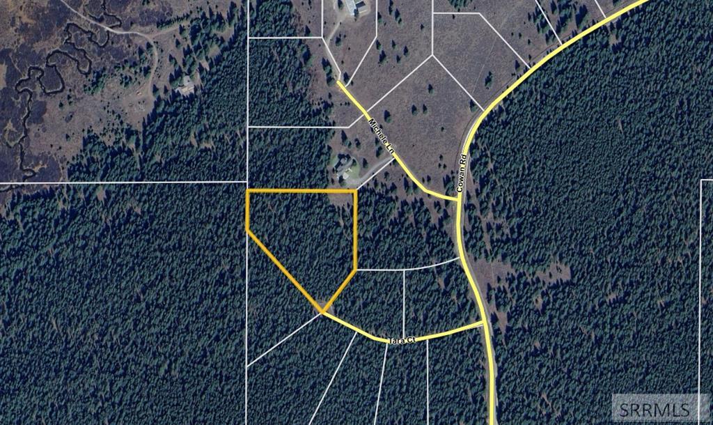 ISLAND PARK, Idaho, 83429, United States, ,Land,For Sale,1974523