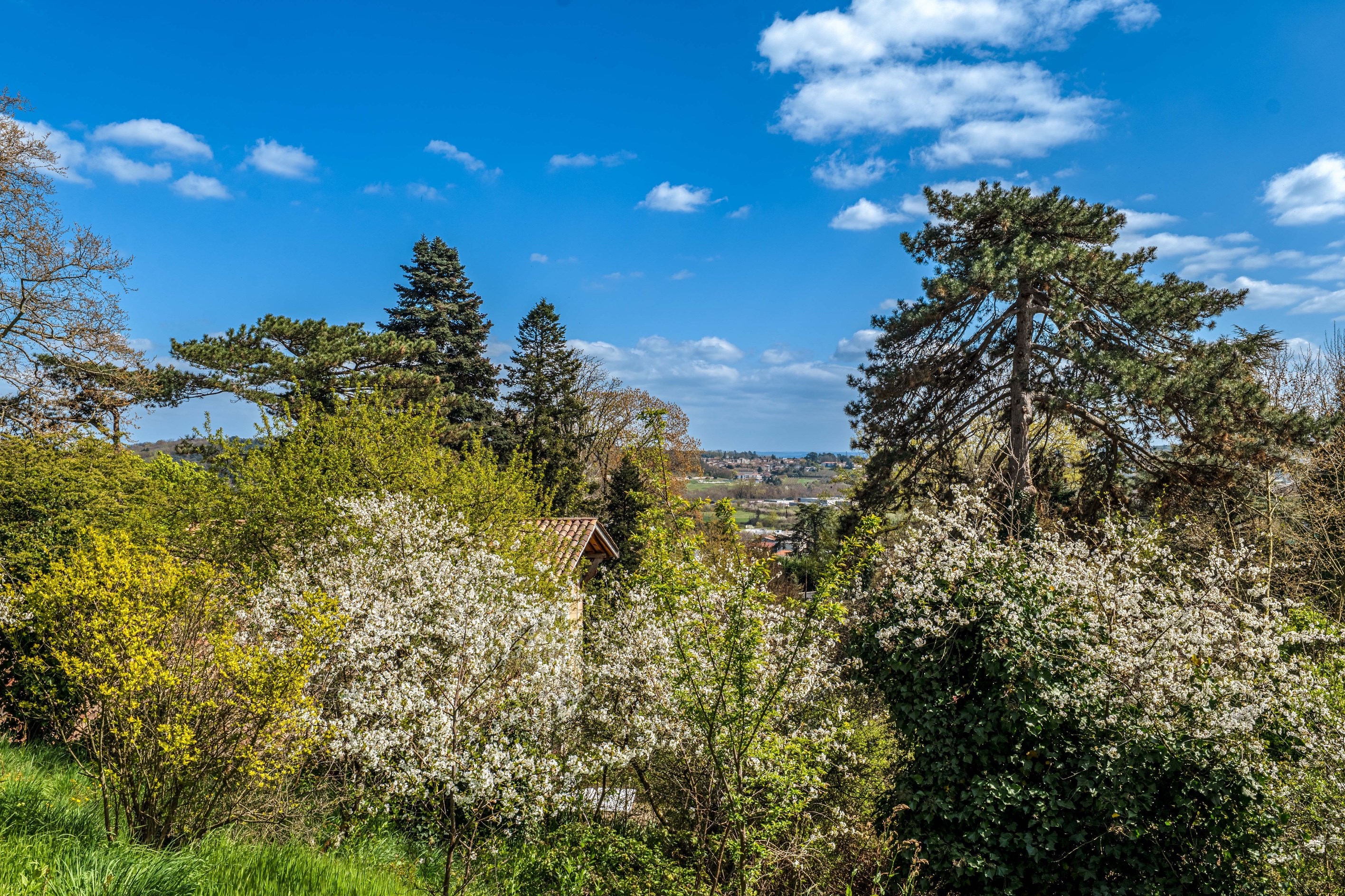  Maison - 物件實景