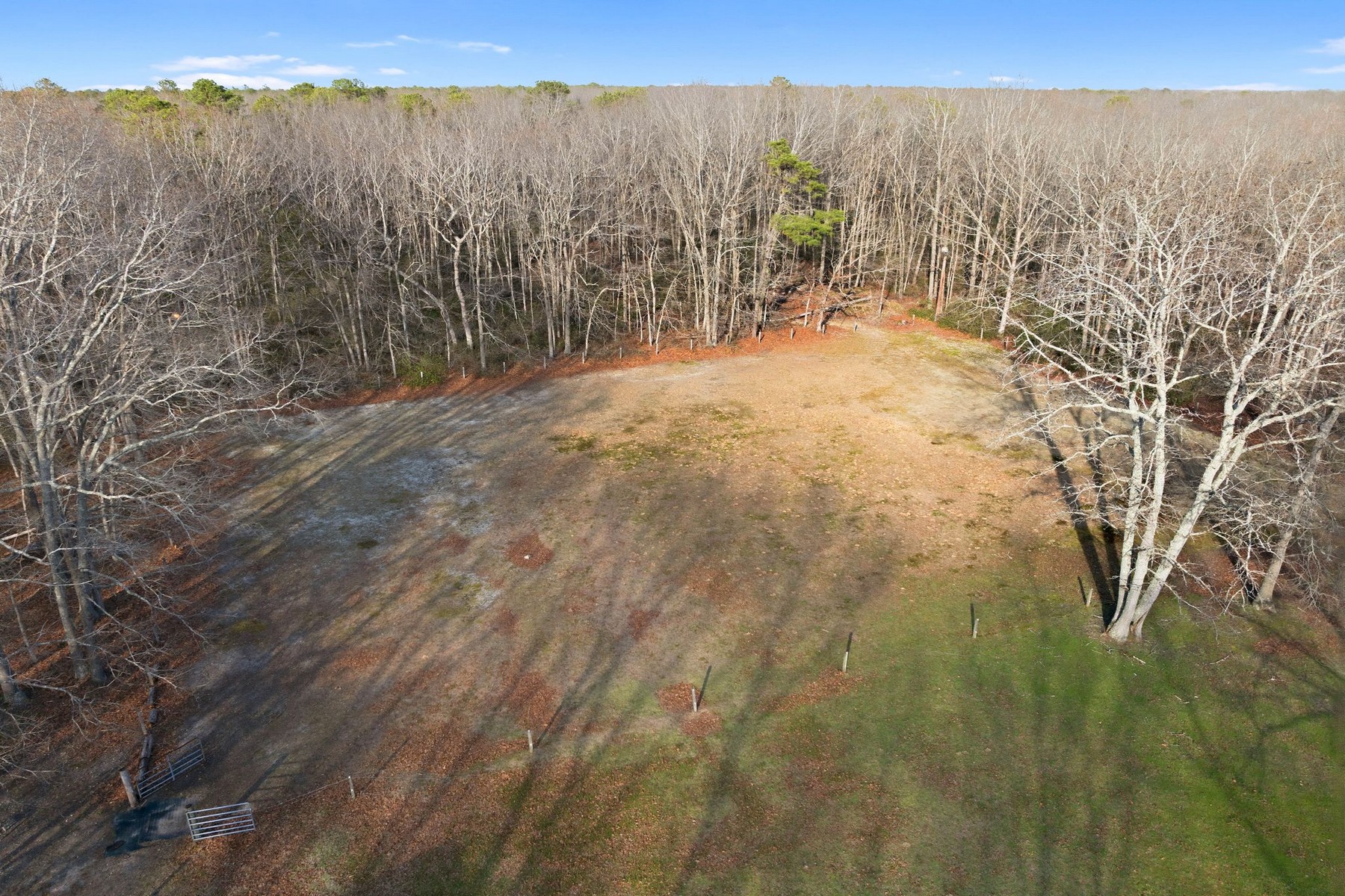  6311 Pine St - 物件實景