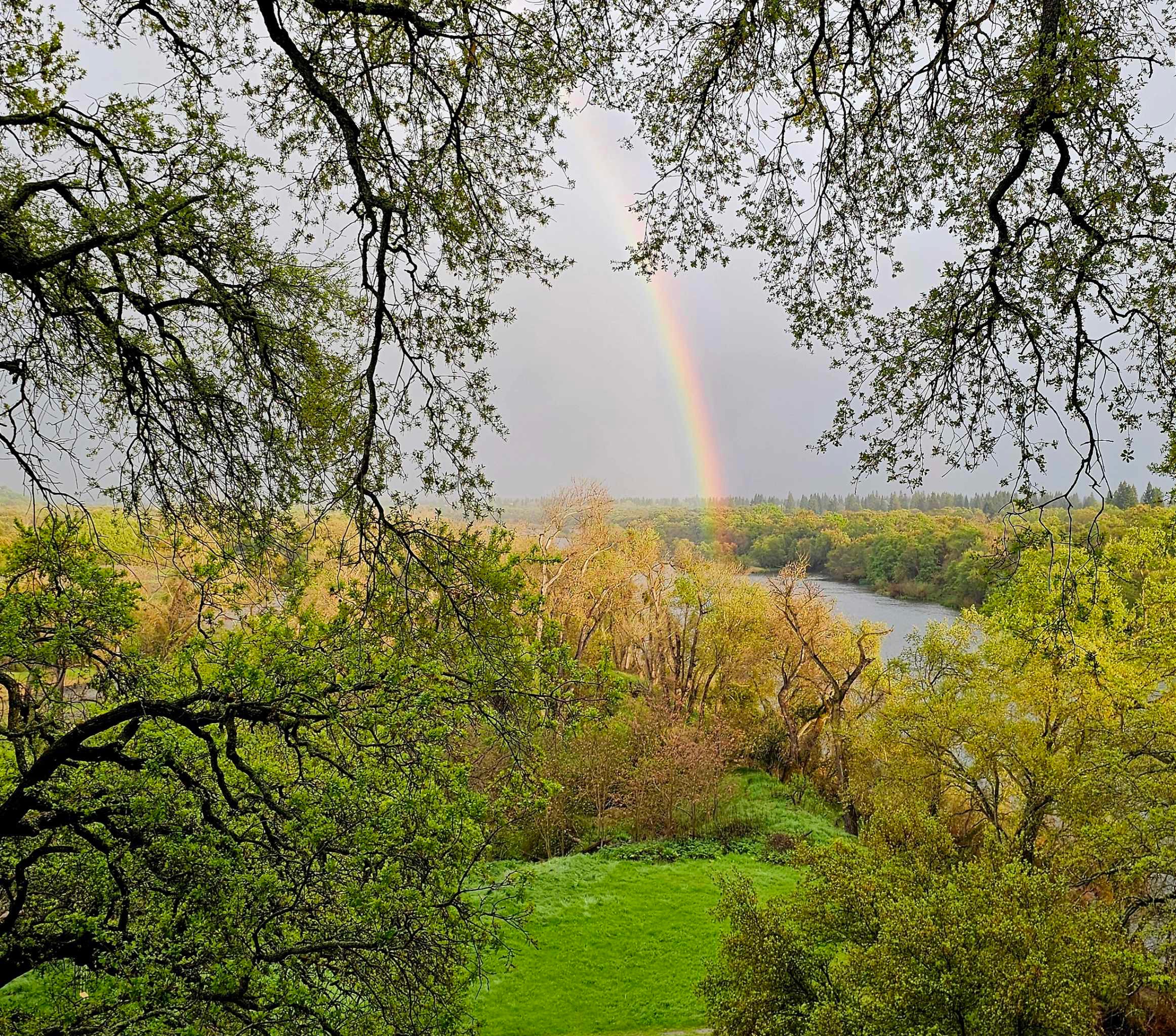  8218 Finisterre Court, Fair Oaks, CA 95628 - 物件實景