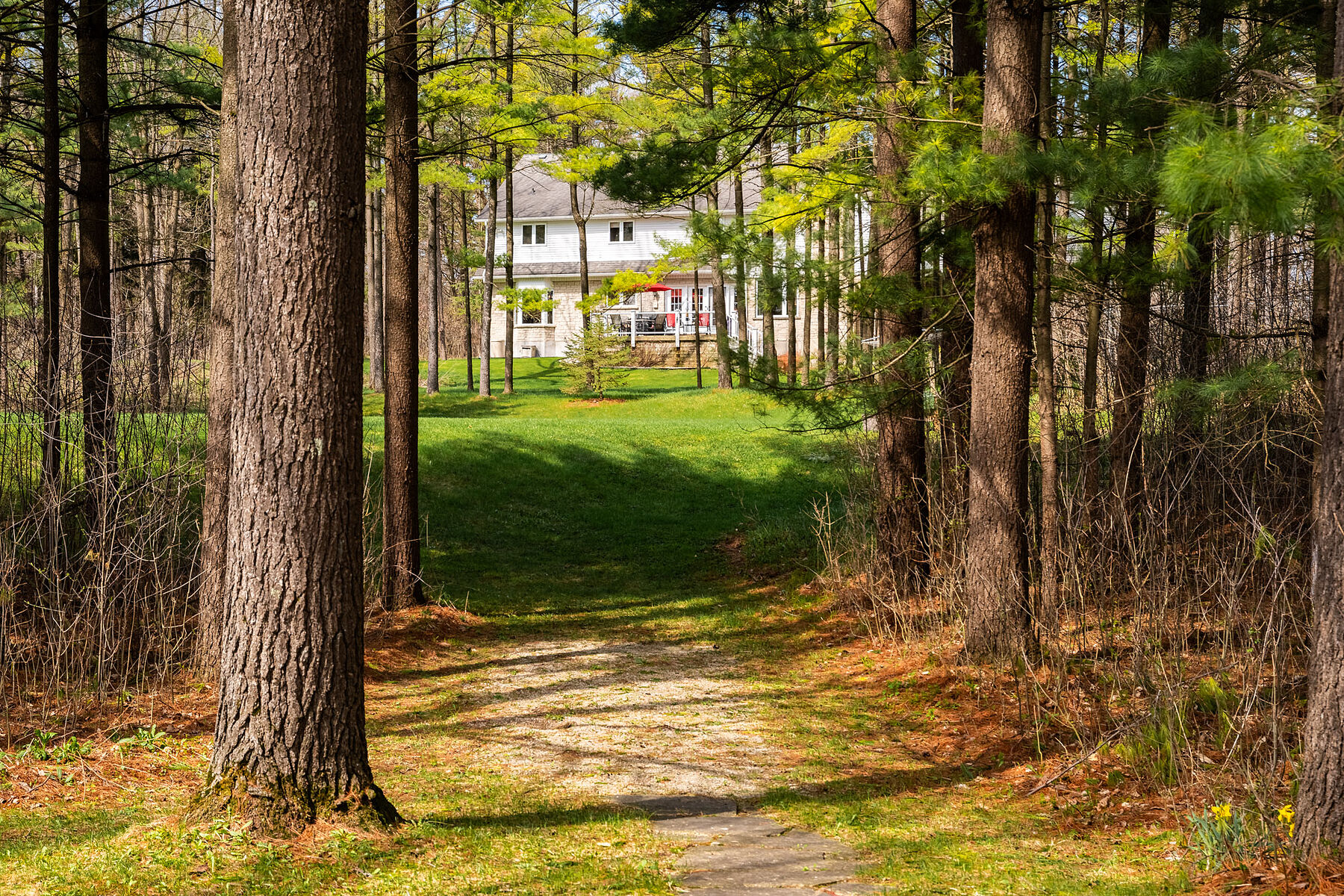  Modern Detached Home - 物件實景