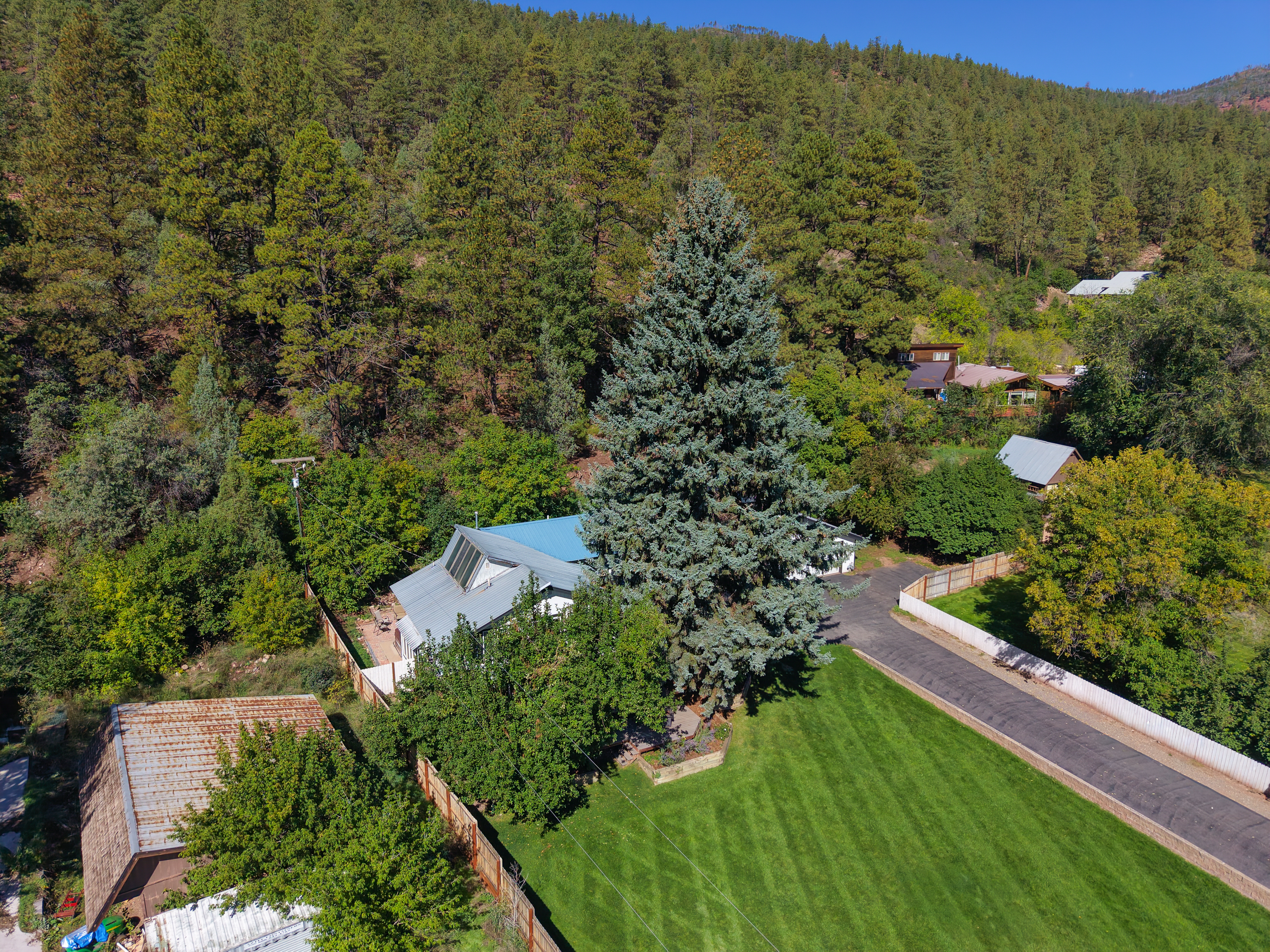  County Road 203, Durango, CO 81301 - 物件實景