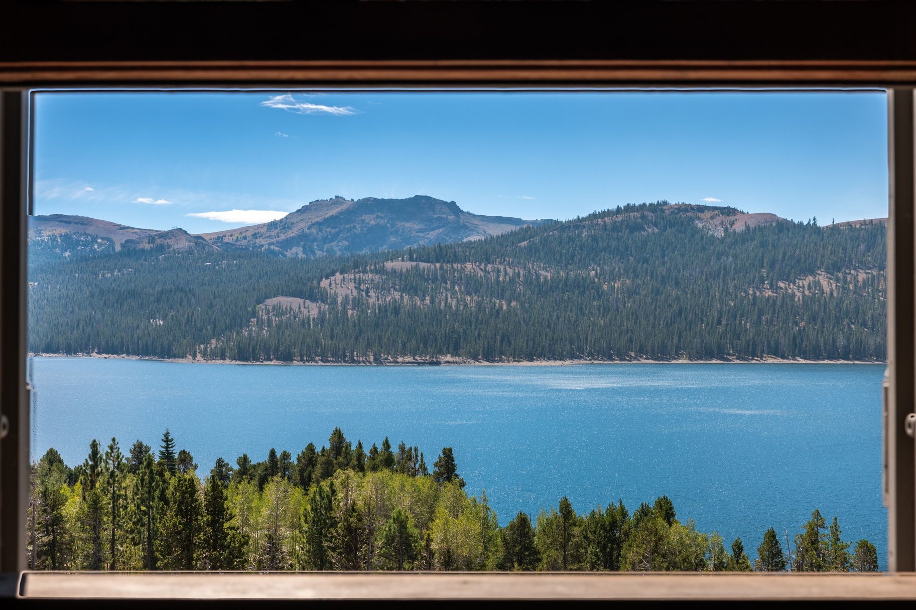  The Juniper Cabin: A Wild Invitation to See the World Differently - 物件實景