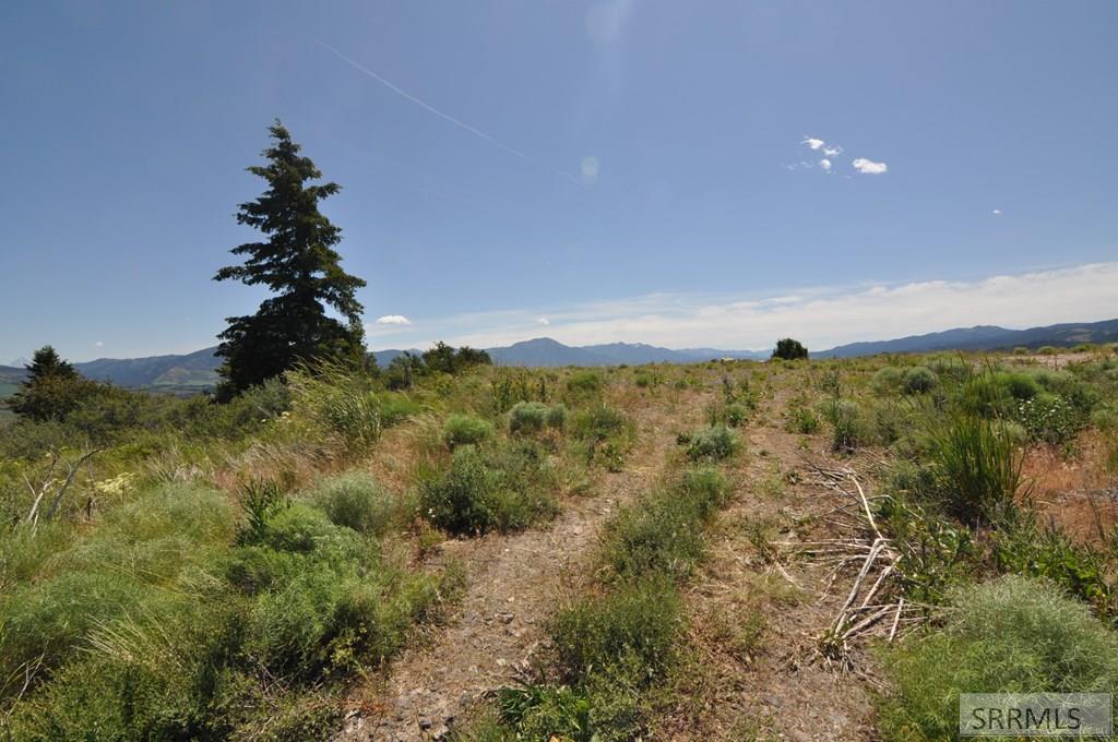 SWAN VALLEY, Idaho, 83449, United States, ,Land,For Sale,1982720