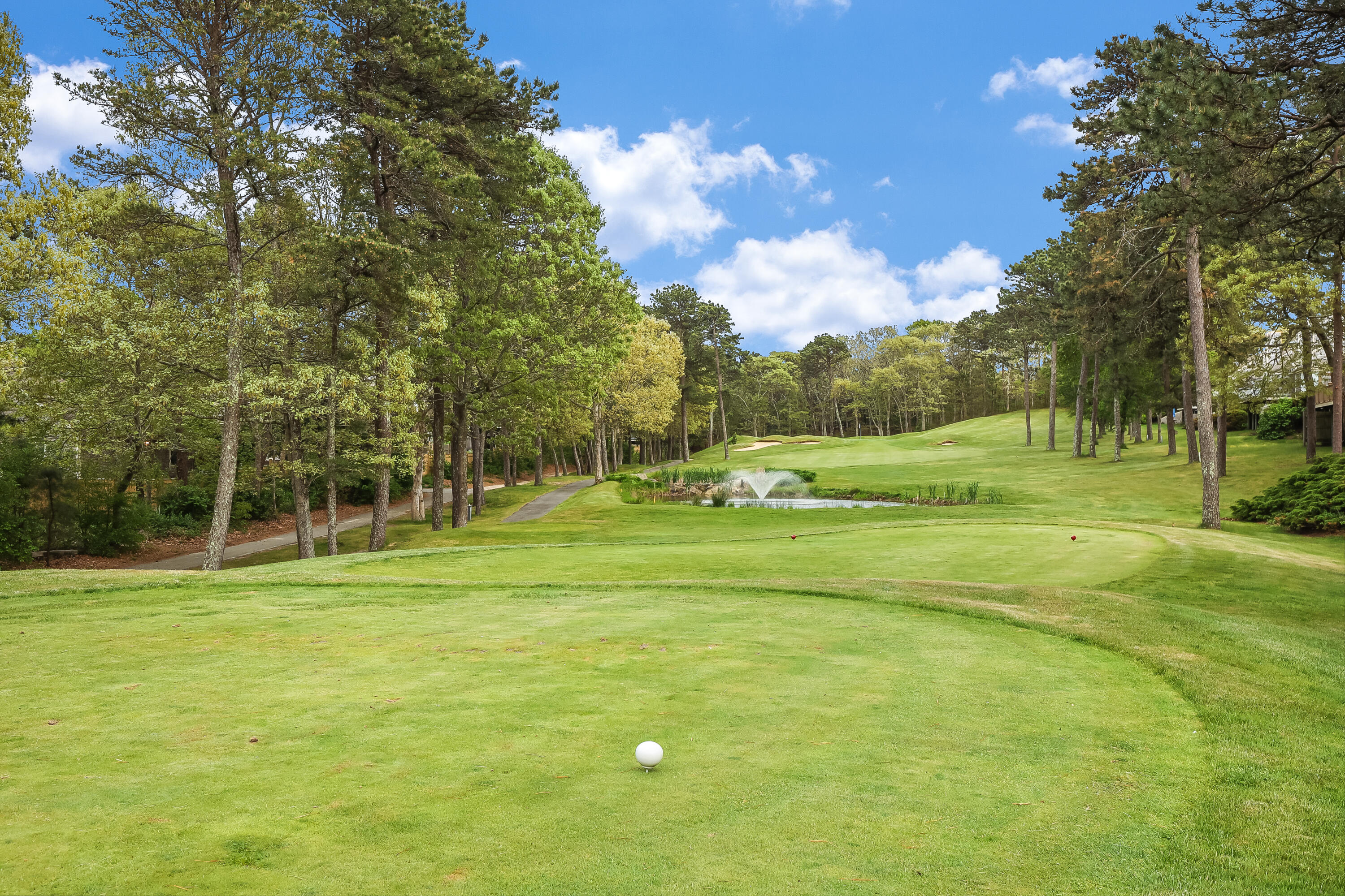  16 West Woods, Yarmouth Port, MA, 02675 - 物件實景