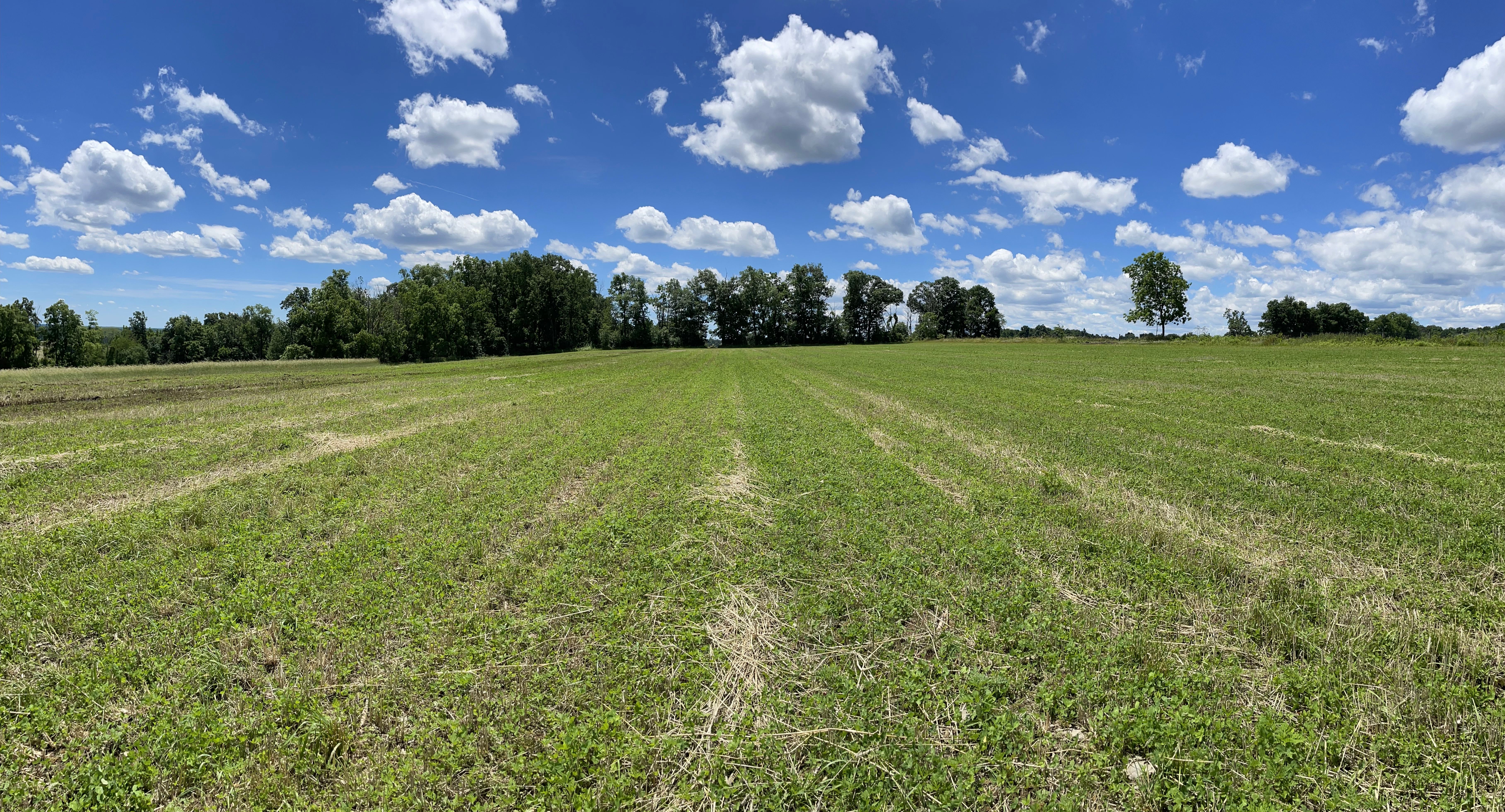  4099 Curly Hill Road, Doylestown, PA 18902 - 物件實景