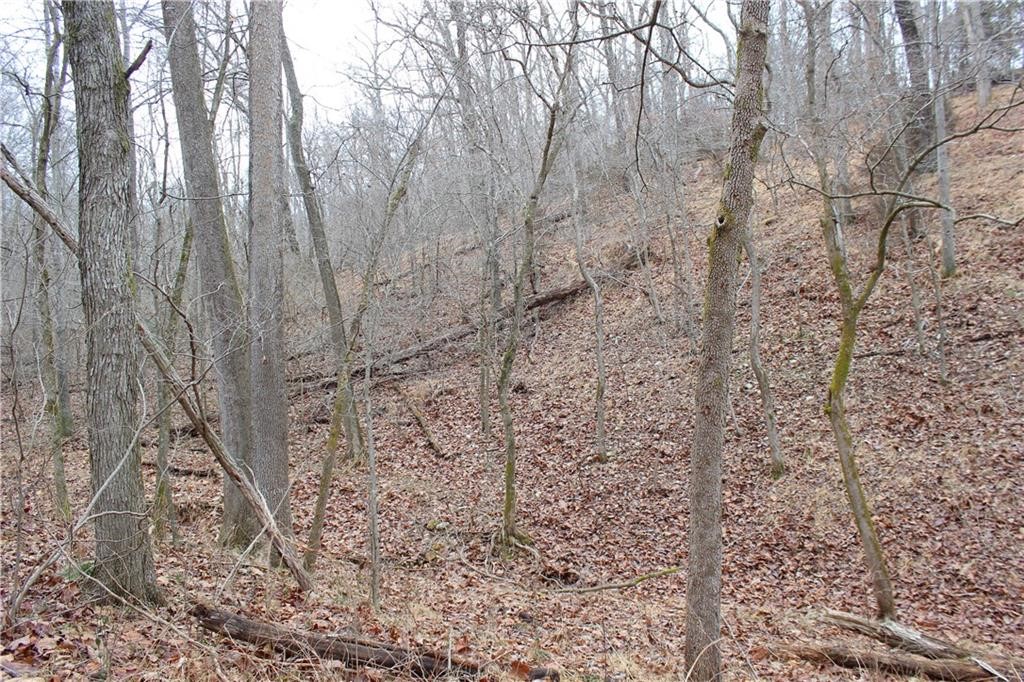 Rogers, Arkansas, 72756, United States, ,Land,For Sale,1966803