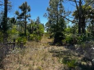 Punta Gorda, Florida, 33982, United States, ,Land,For Sale,1840783