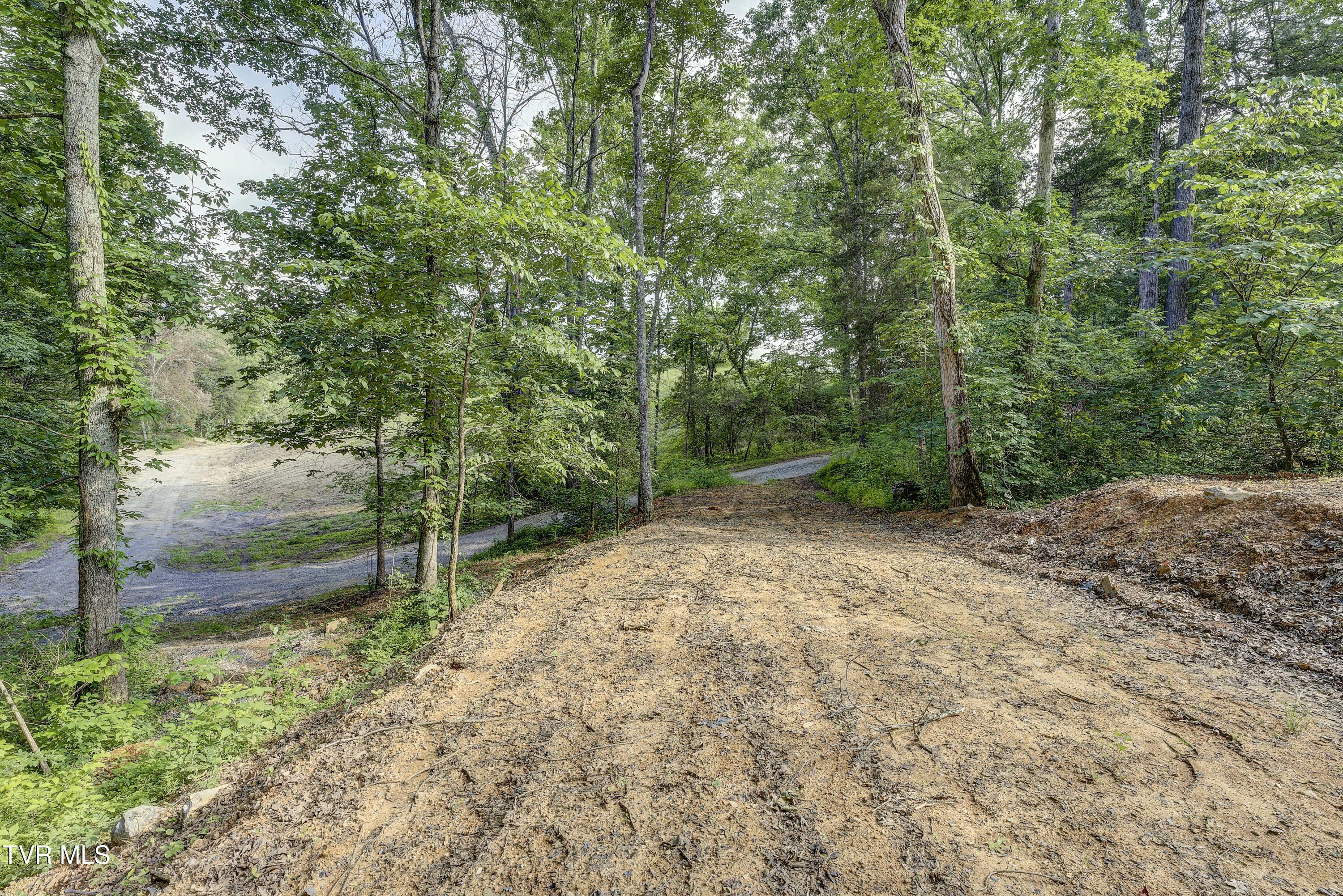 Piney Flats, Tennessee, 37686, United States, ,Land,For Sale,1983828