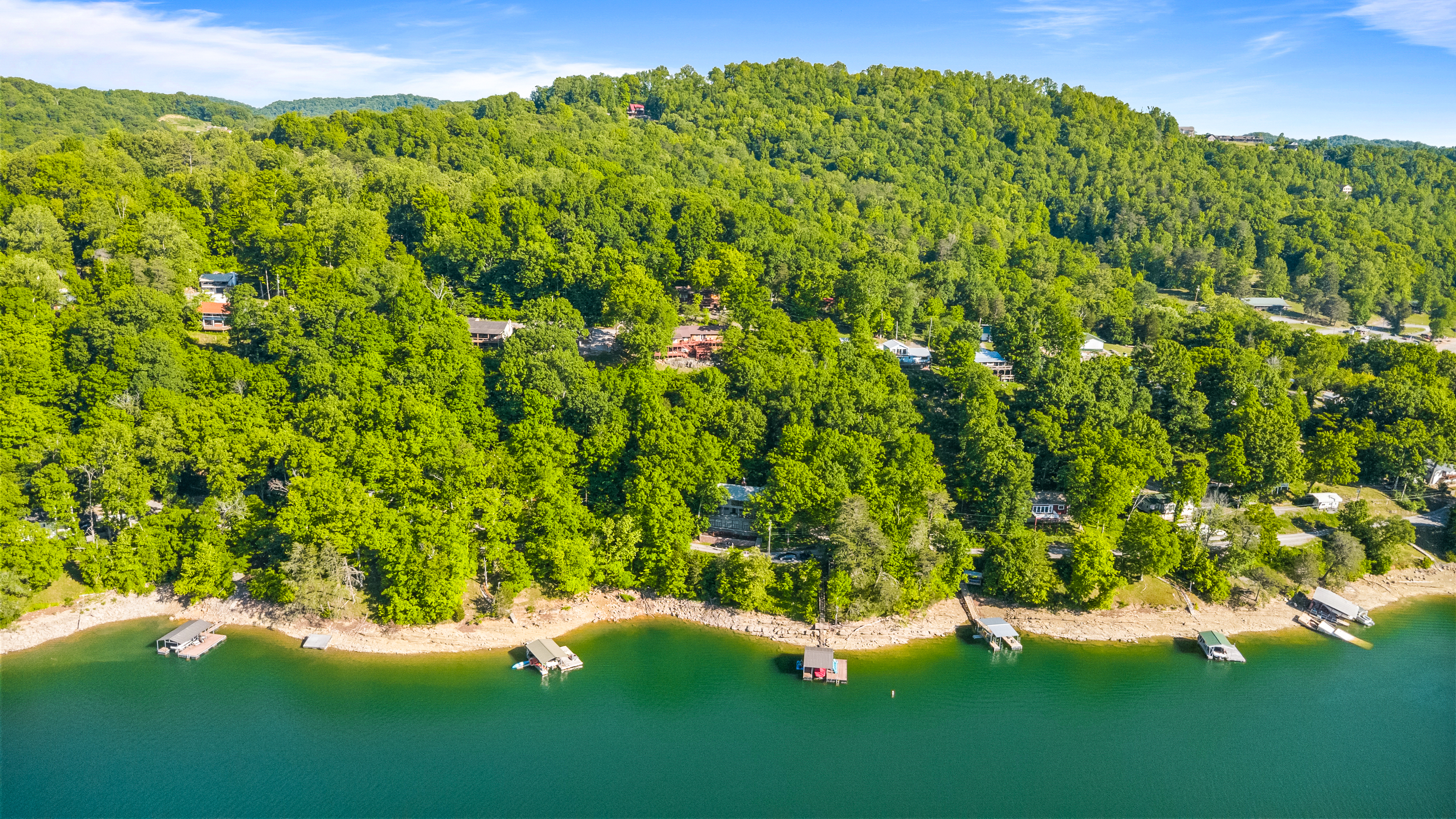  244 Lakeshore Drive, Maynardville, TN 37807 - 物件實景