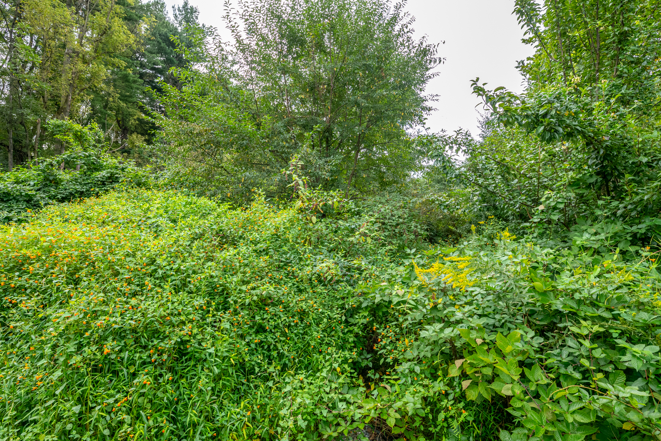  0 River Rd, Pequea, PA 17565 - 物件實景