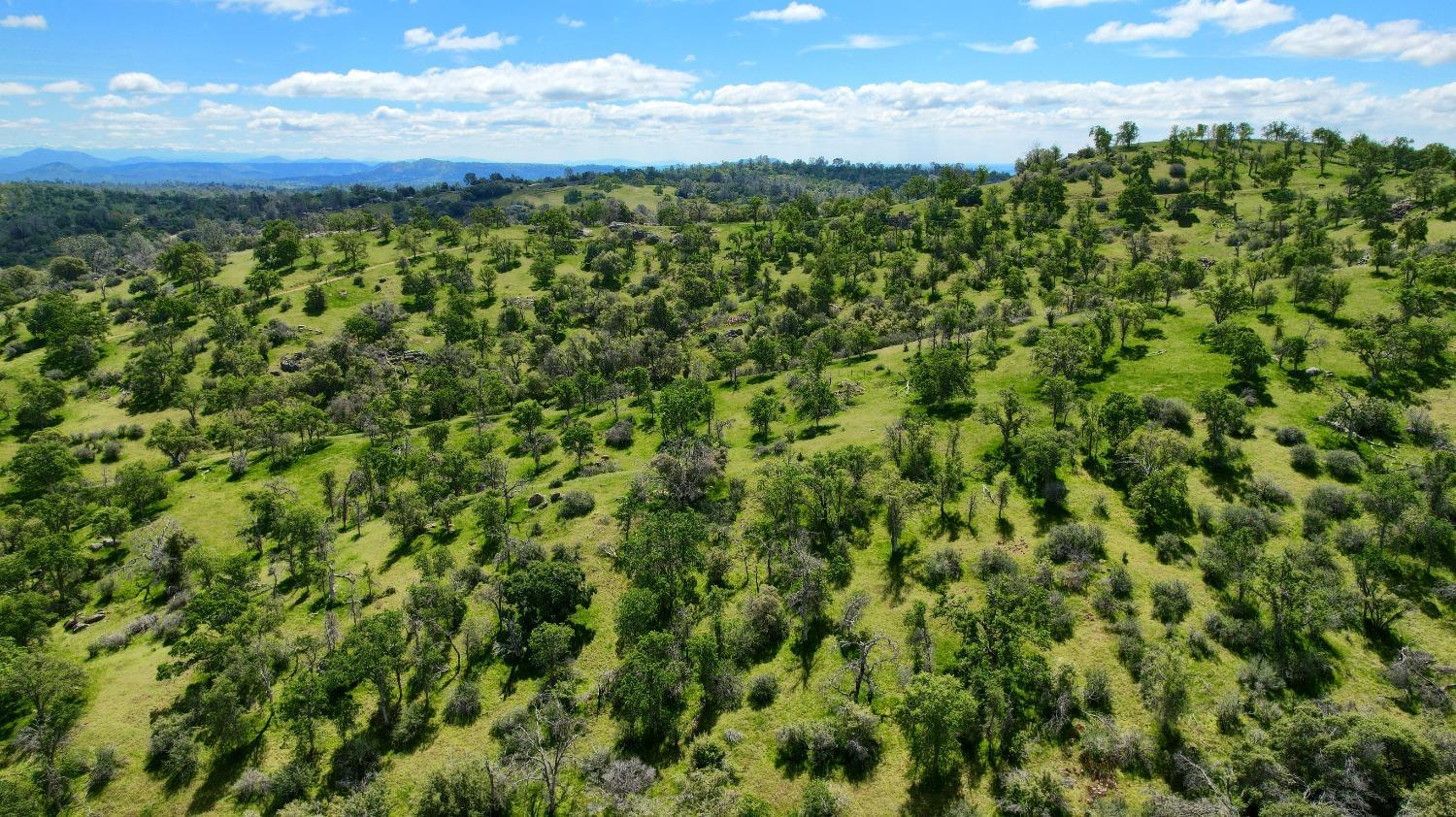 Coarsegold, California, 93614, United States, 3 Bedrooms Bedrooms, ,2 BathroomsBathrooms,Residential,For Sale,2006317