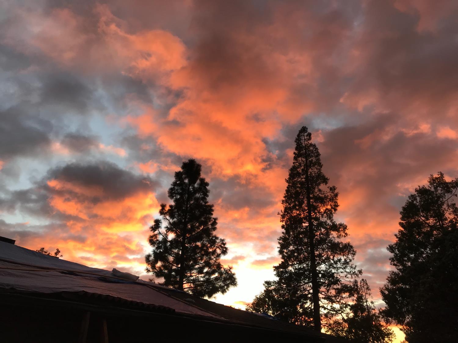 Oakhurst, California, 93644, United States, 4 Bedrooms Bedrooms, ,3 BathroomsBathrooms,Residential,For Sale,1992773