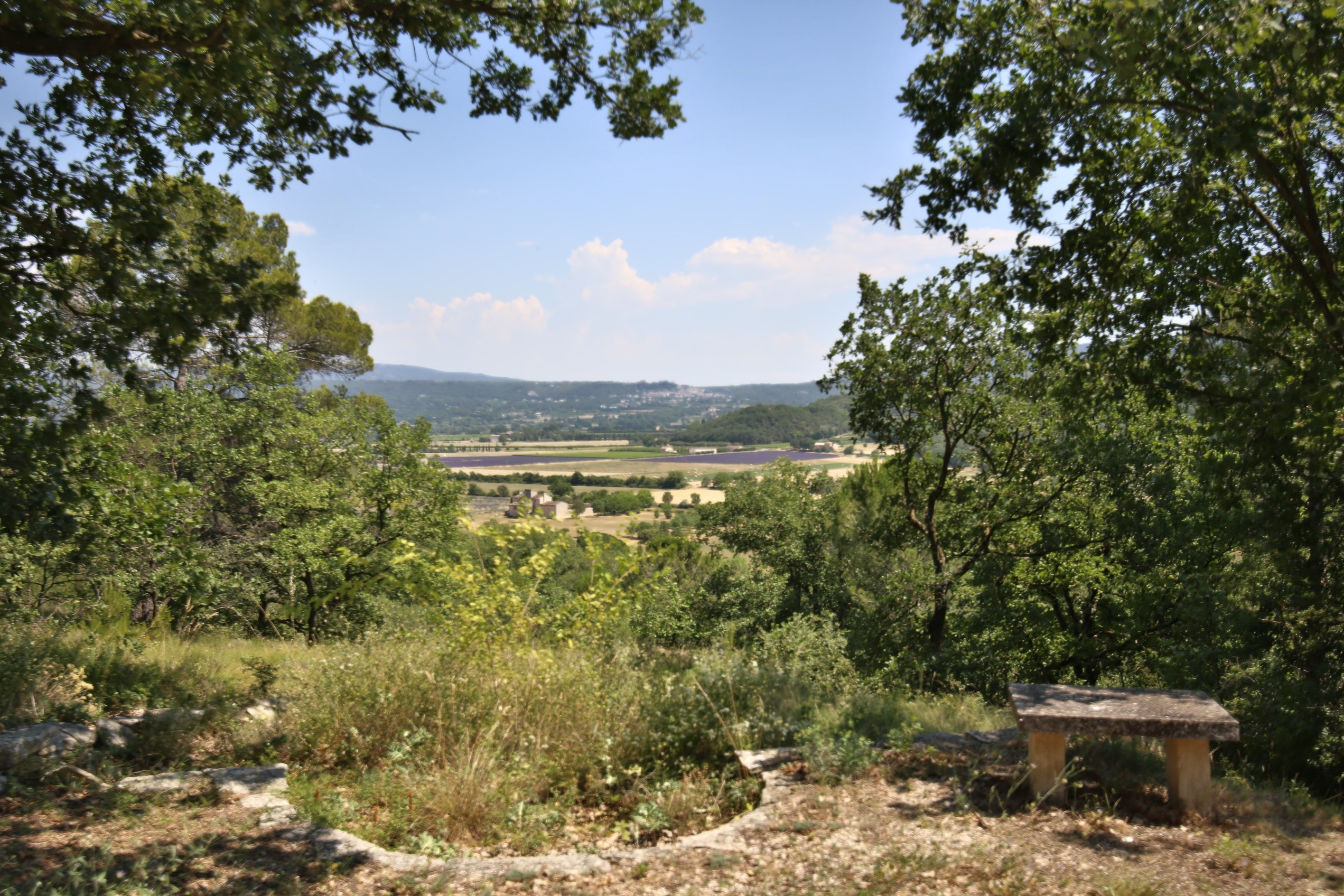  Elegant stone property in the heart of the Luberon
