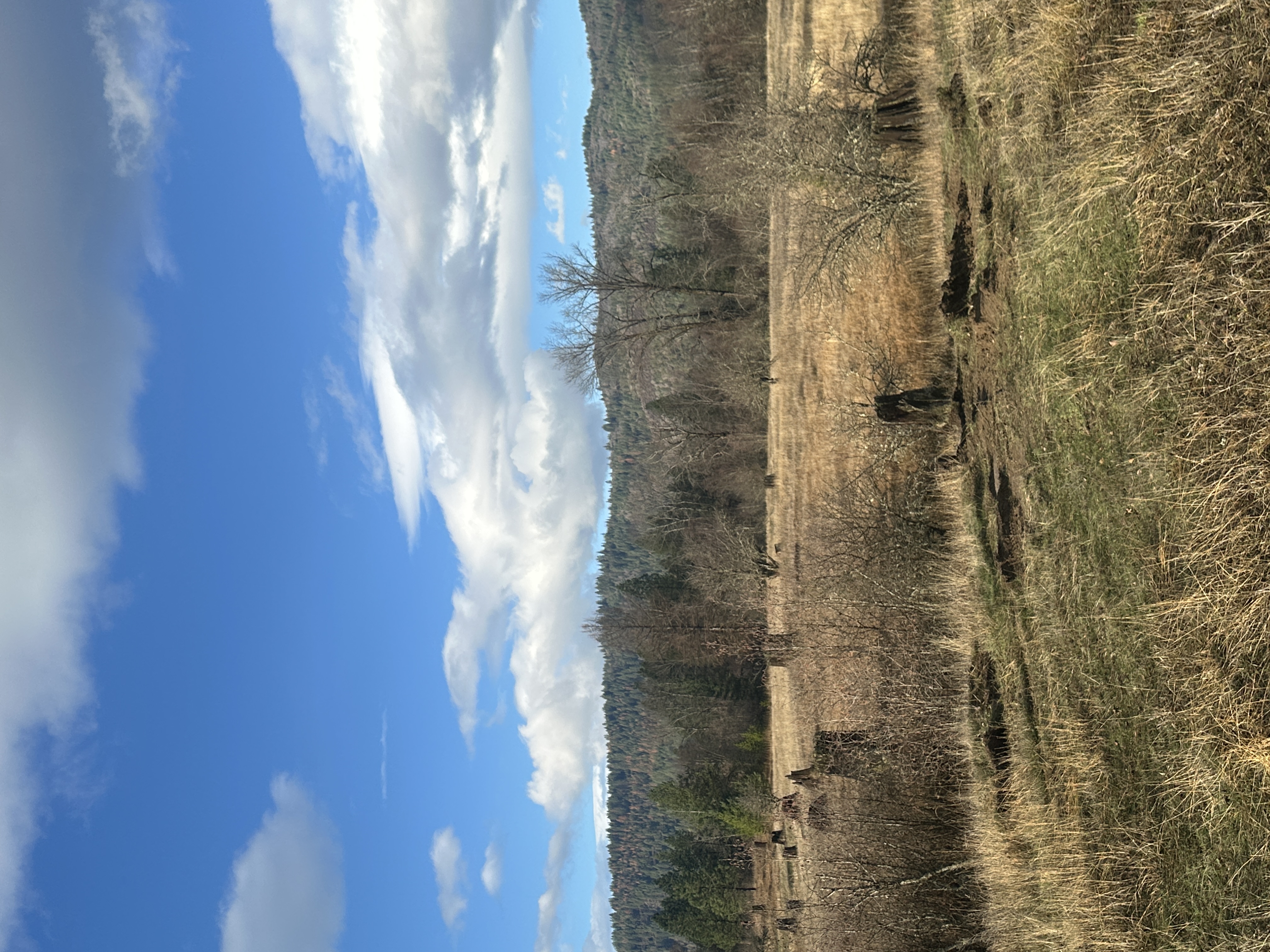 Priest River, Idaho, 83856, United States, ,Land,For Sale,2006127