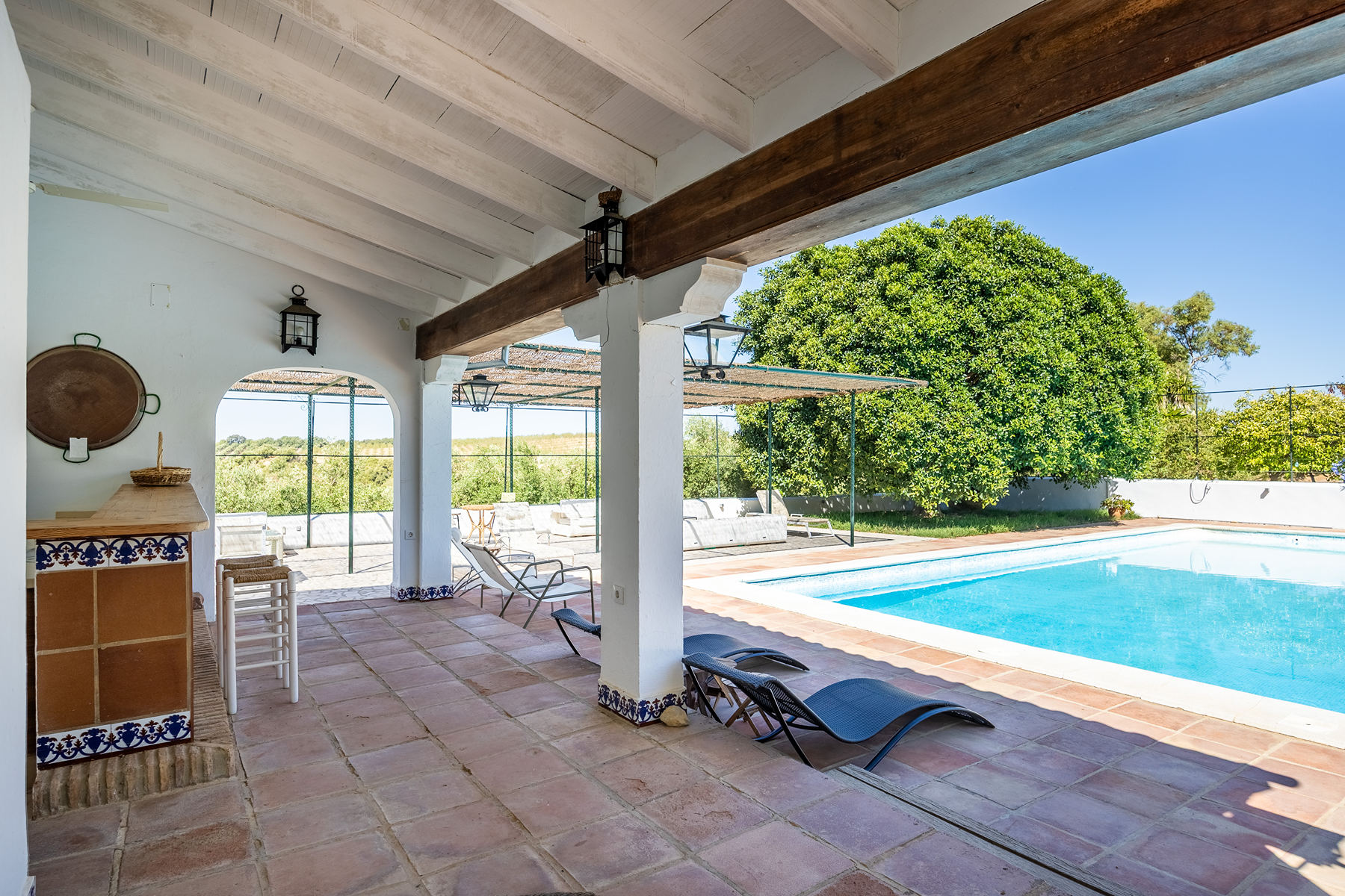  Country house in the province of Cádiz - 物件實景