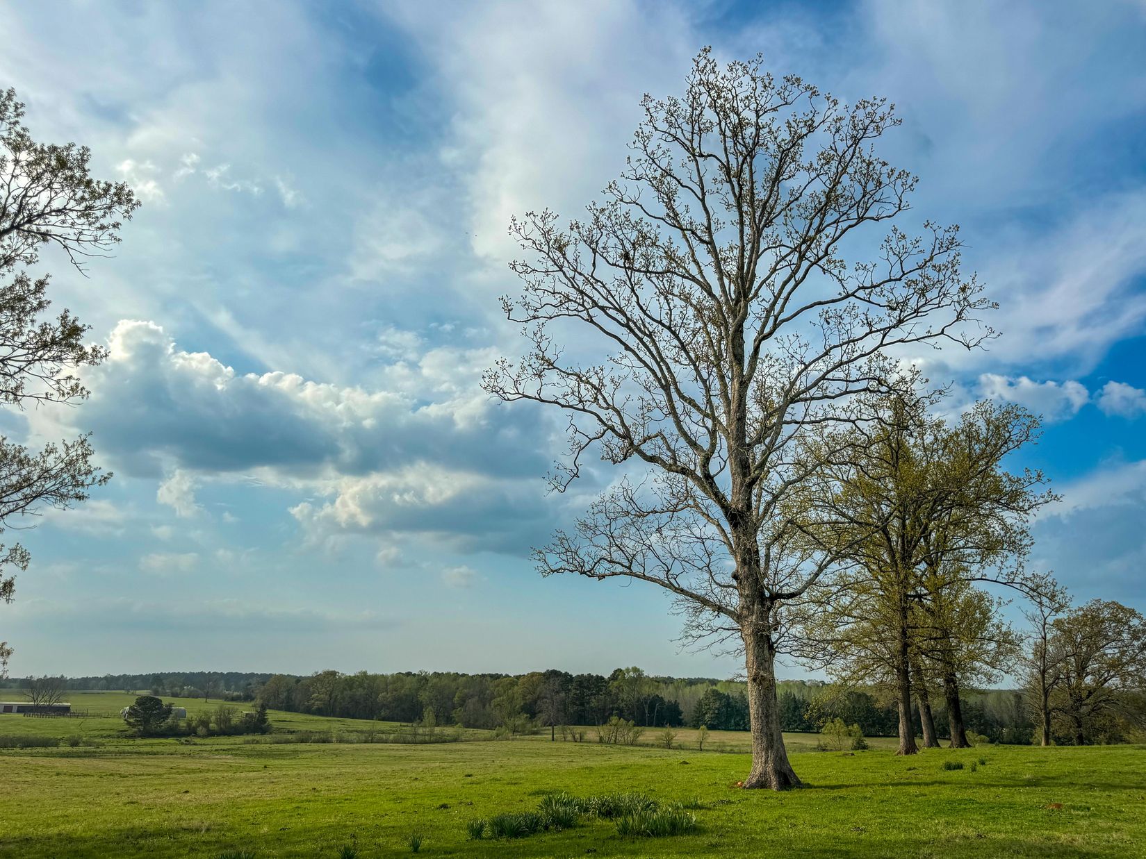 Bivins, Texas, 75555, United States, ,Residential,For Sale,1755933
