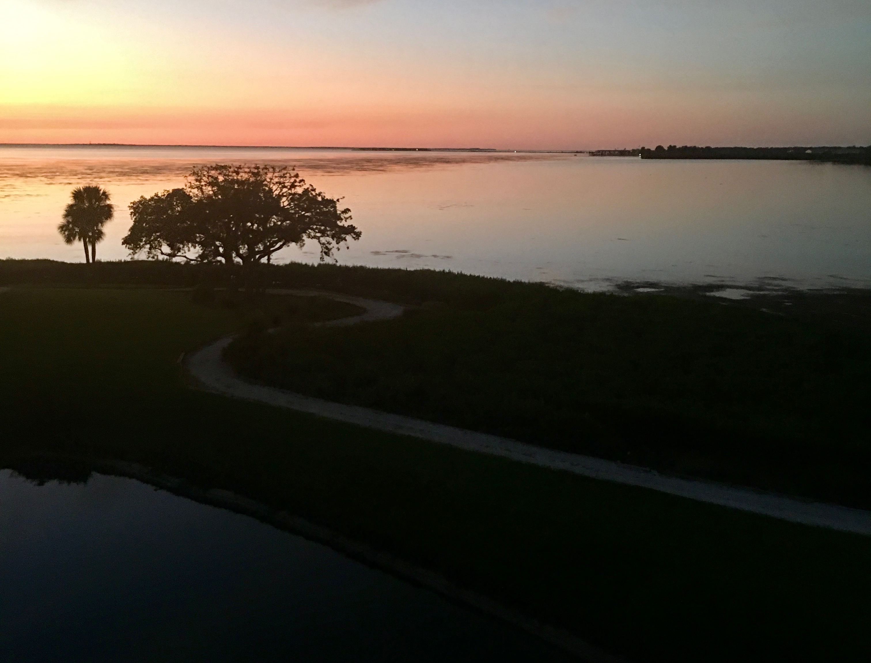 Tarpon Springs, Florida, 34689, United States, 4 Bedrooms Bedrooms, ,4 BathroomsBathrooms,Residential,For Sale,1863560