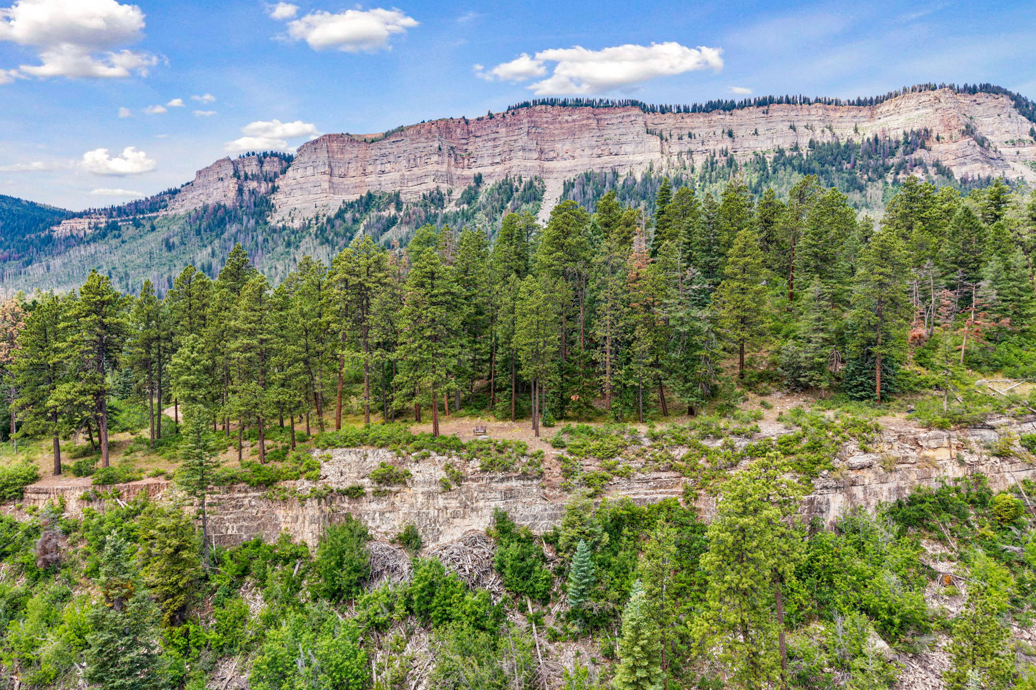  TBD East Spruce Mesa Drive, Durango, CO 81301 - 物件實景