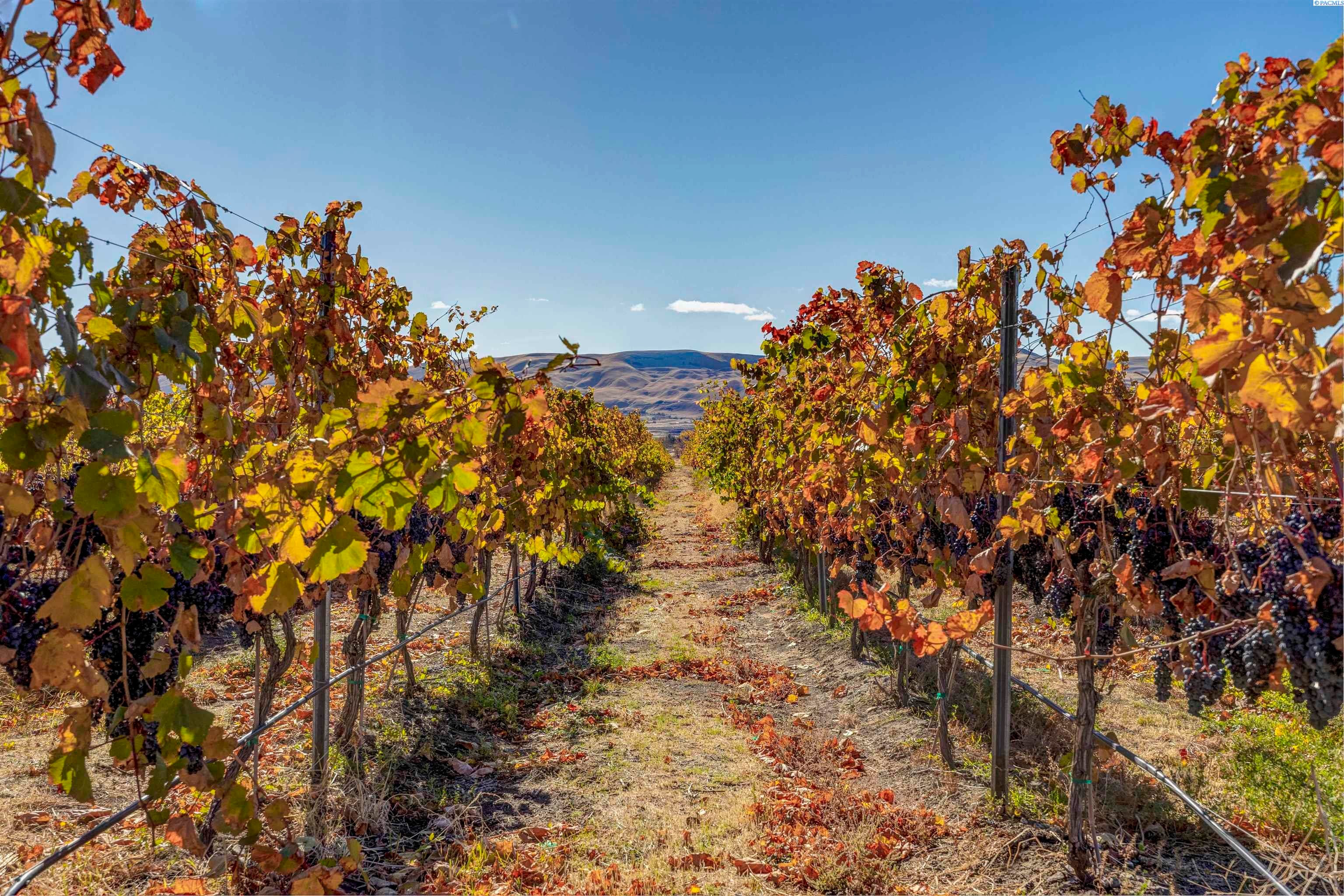 Benton City, Washington, 99320, United States, 3 Bedrooms Bedrooms, ,2 BathroomsBathrooms,Residential,For Sale,1992566