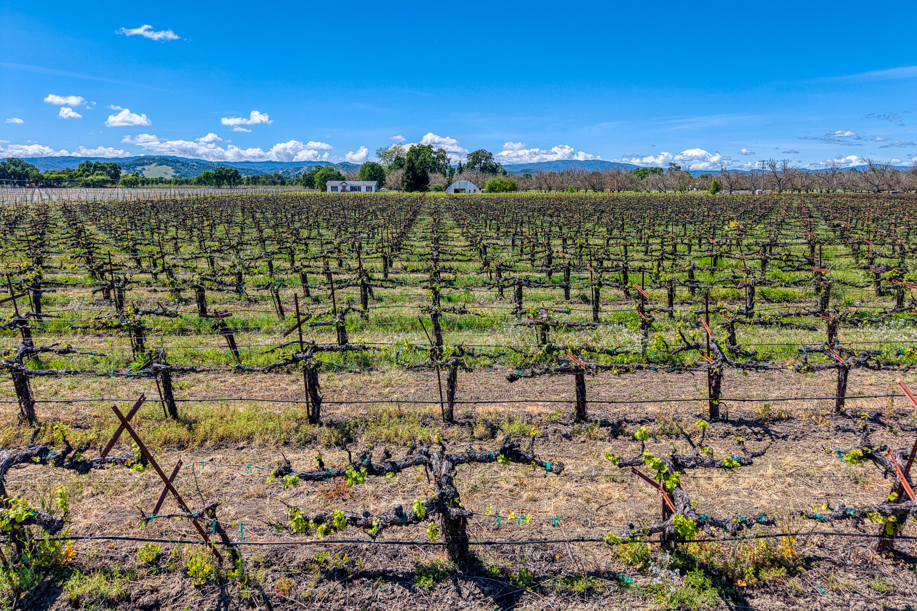  Lake County: The Place to Be - 物件實景