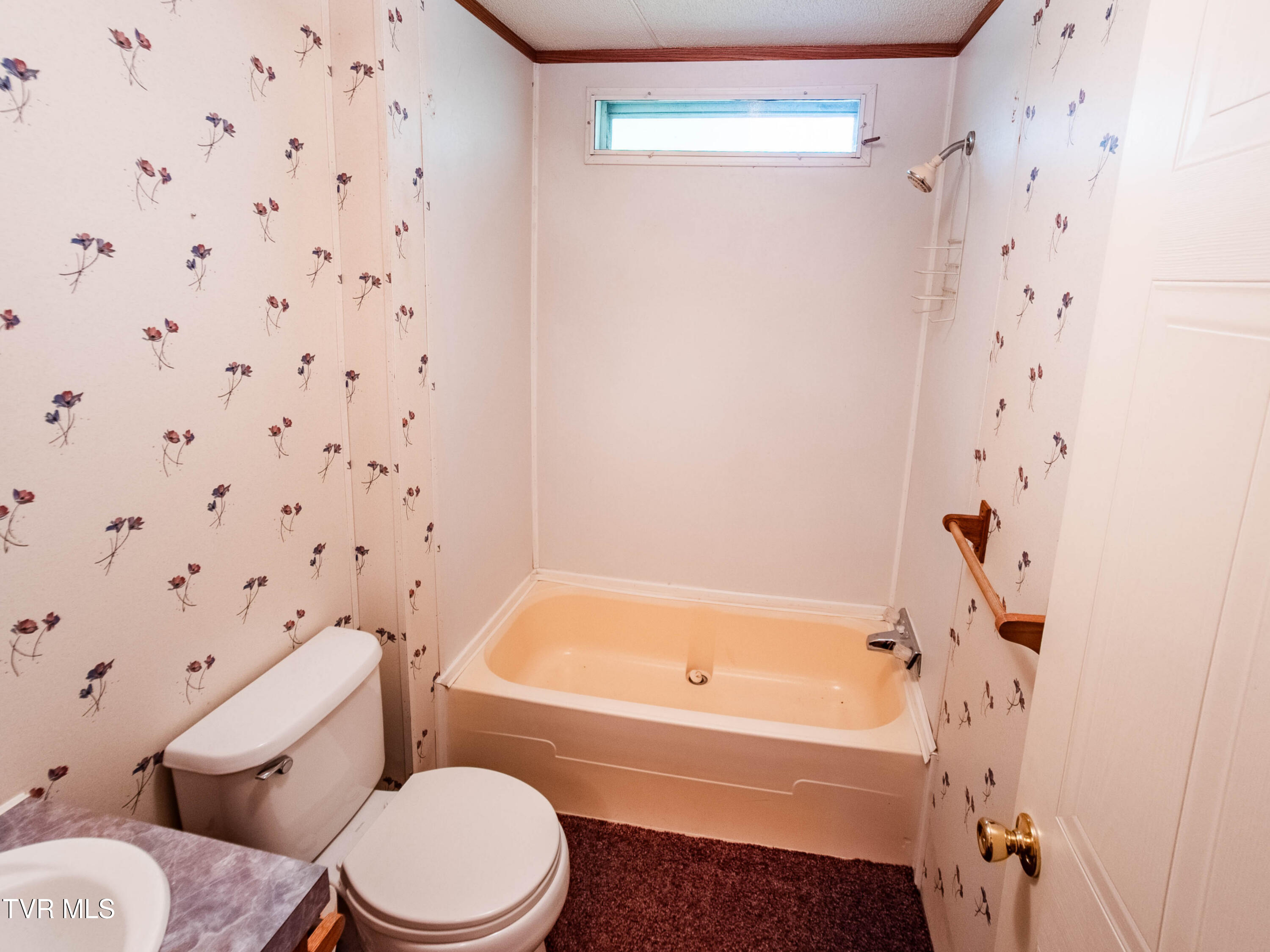 Surgoinsville, Tennessee, 37873, United States, 3 Bedrooms Bedrooms, ,3 BathroomsBathrooms,Residential,For Sale,1937059