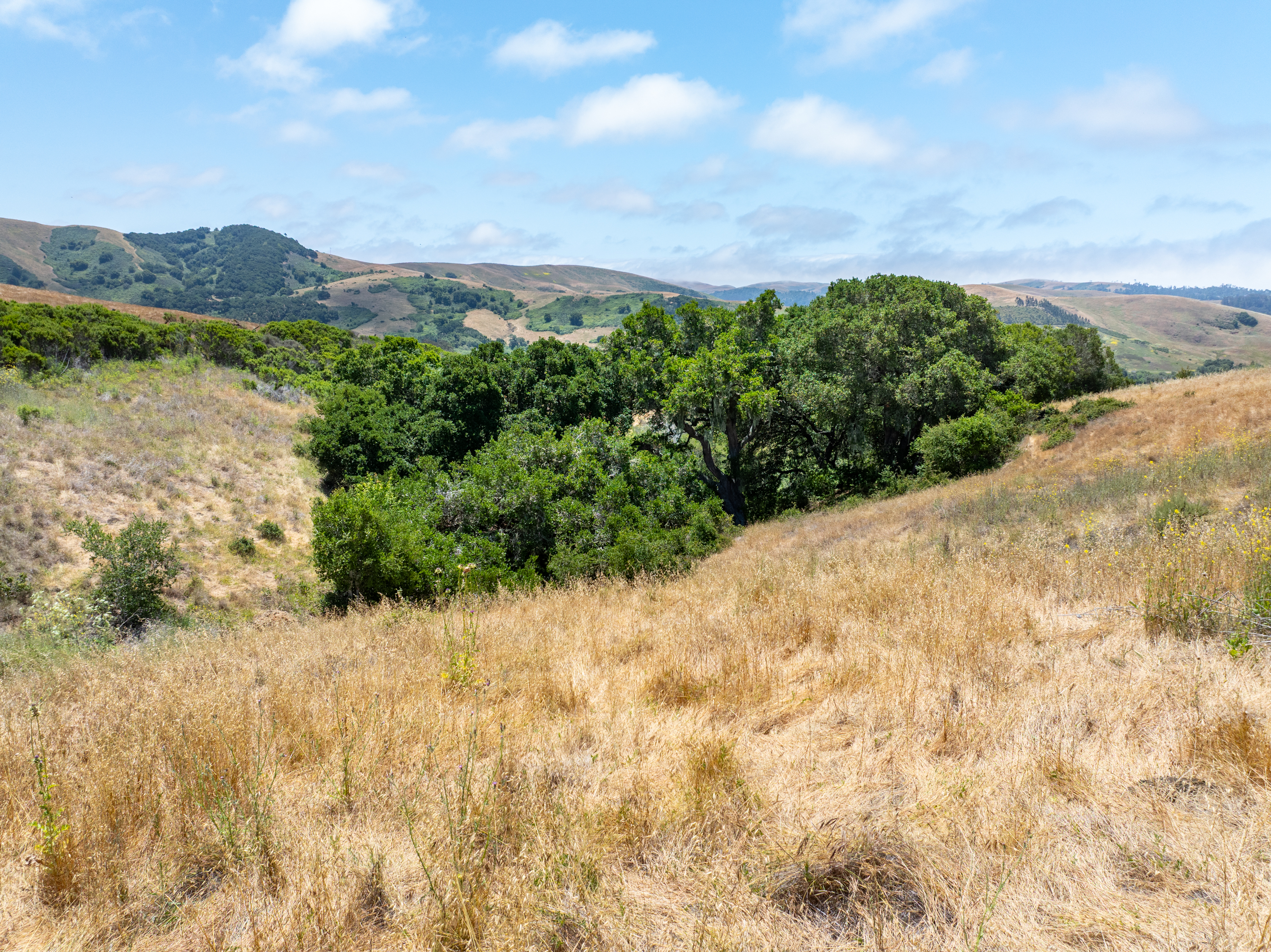  Homesite with Ocean and Mountain Views - 物件實景