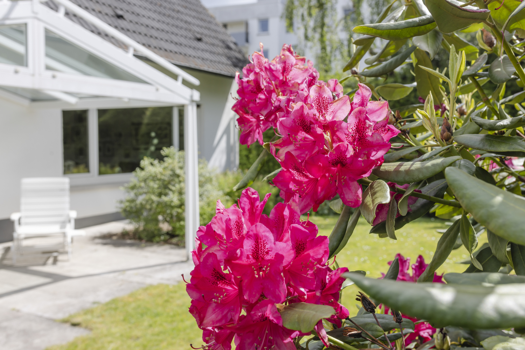  Well-maintained single-family home with character and plenty of potential - 物件實景