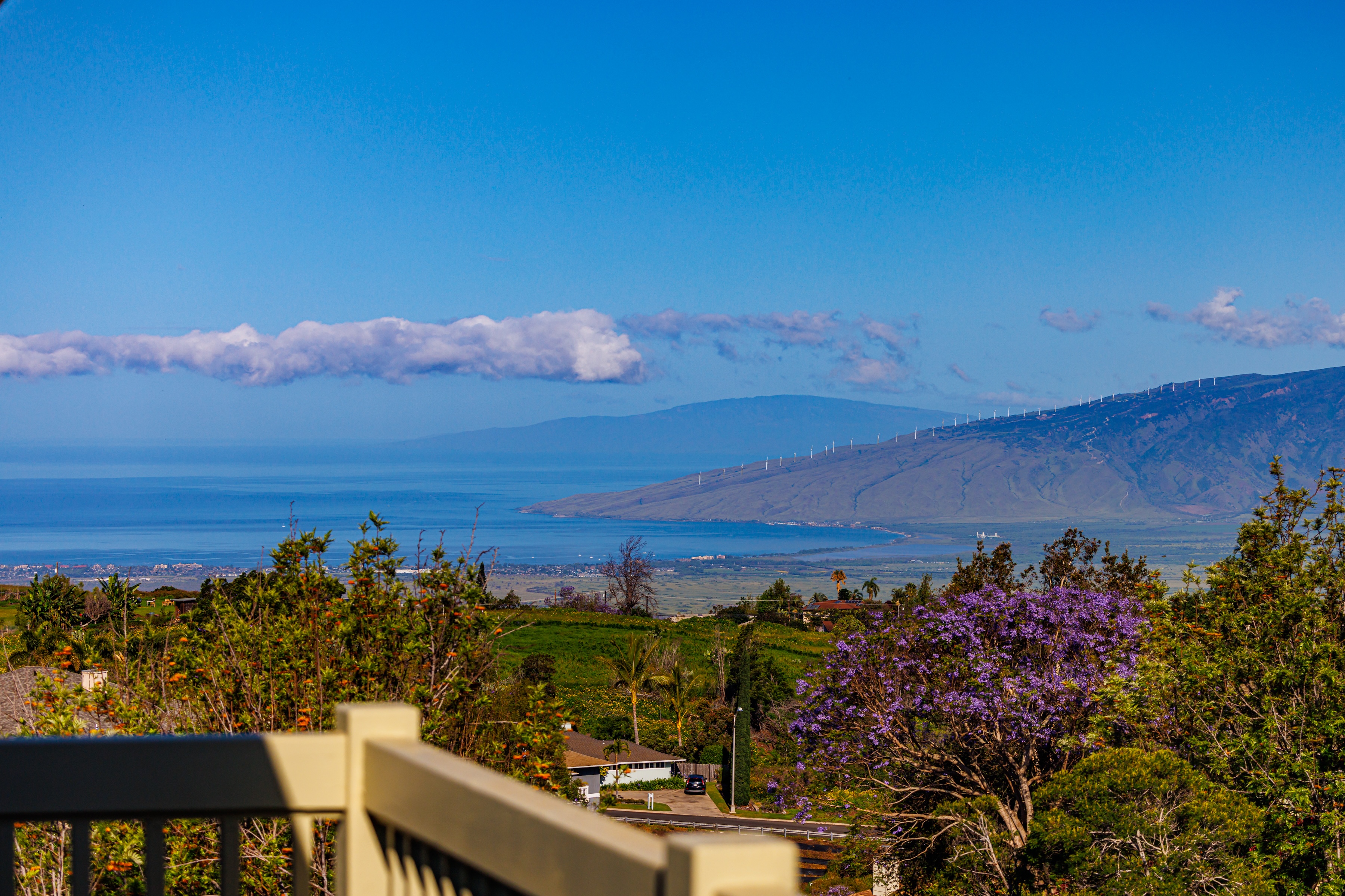  Elevated Kula Retreat with Privacy and Scenic Surroundings - 物件實景