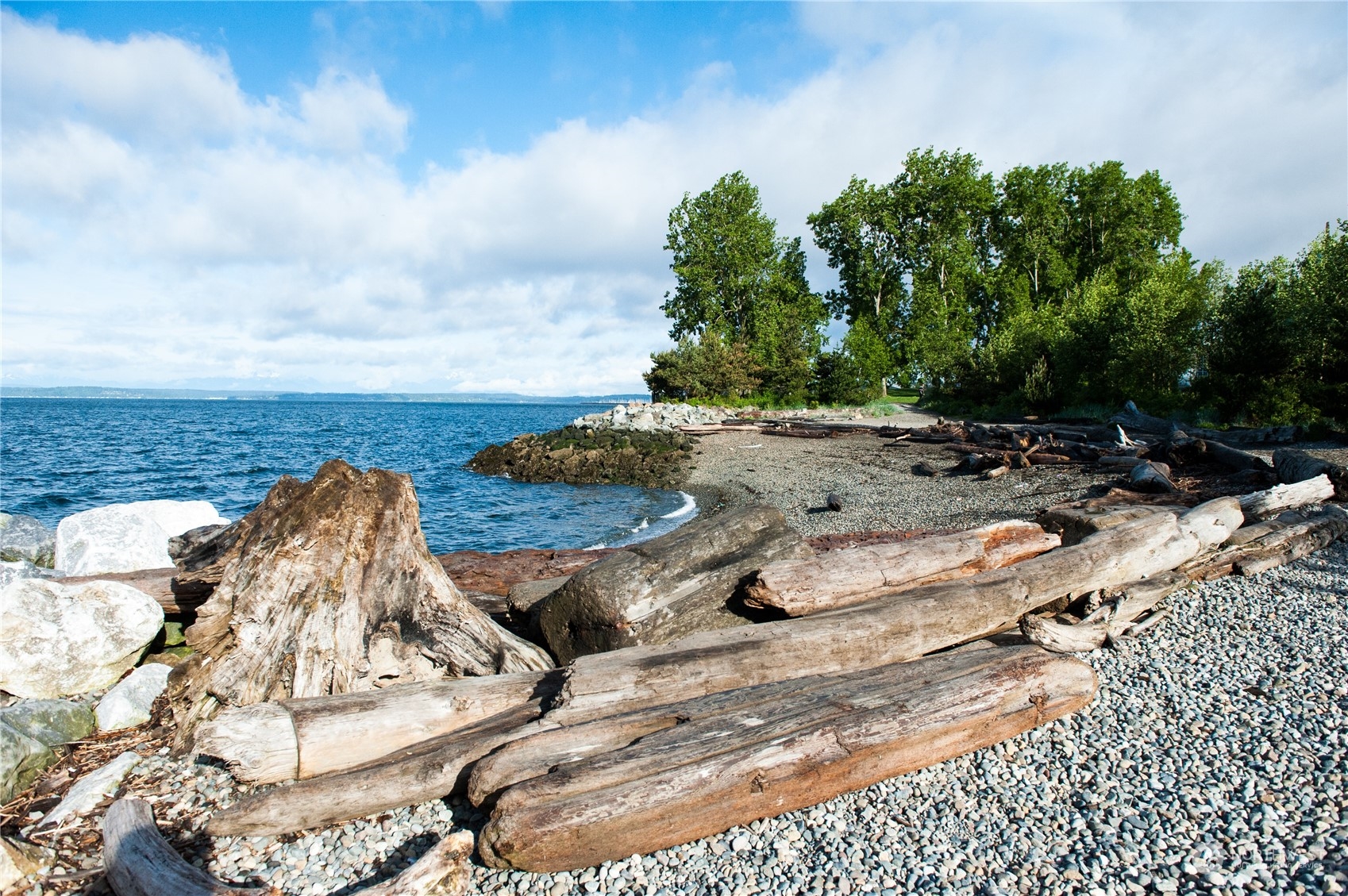 Seattle, Washington, 98121, United States, 1 Bedroom Bedrooms, ,Residential,For Sale,1983411