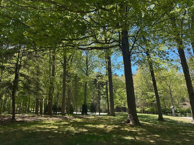 Fennville, Michigan, 49408, United States, 3 Bedrooms Bedrooms, ,2 BathroomsBathrooms,Residential,For Sale,2027985