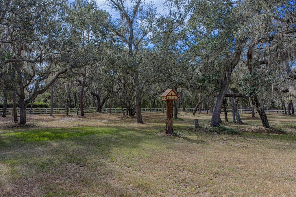 Riverview, Florida, 33569, United States, 4 Bedrooms Bedrooms, ,3 BathroomsBathrooms,Residential,For Sale,1991994