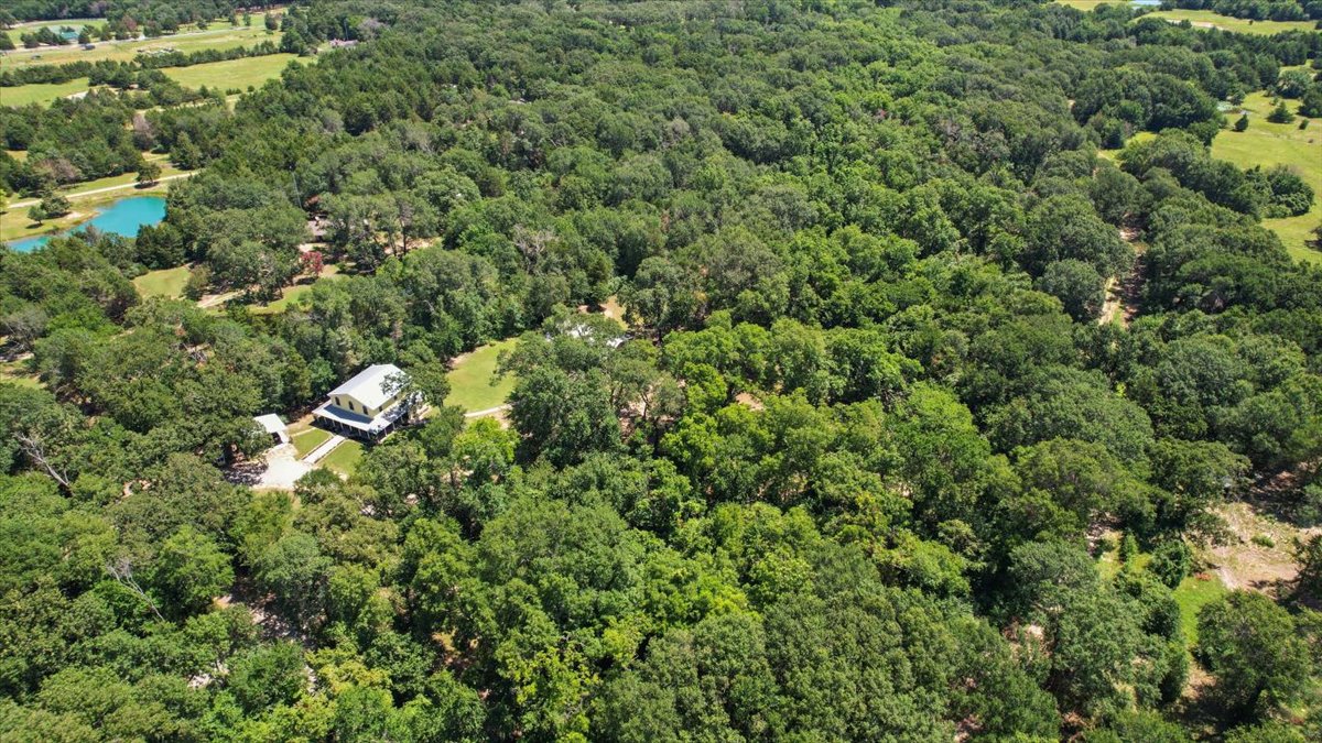 Bonham, Texas, 75418, United States, 6 Bedrooms Bedrooms, ,3 BathroomsBathrooms,Residential,For Sale,1983606